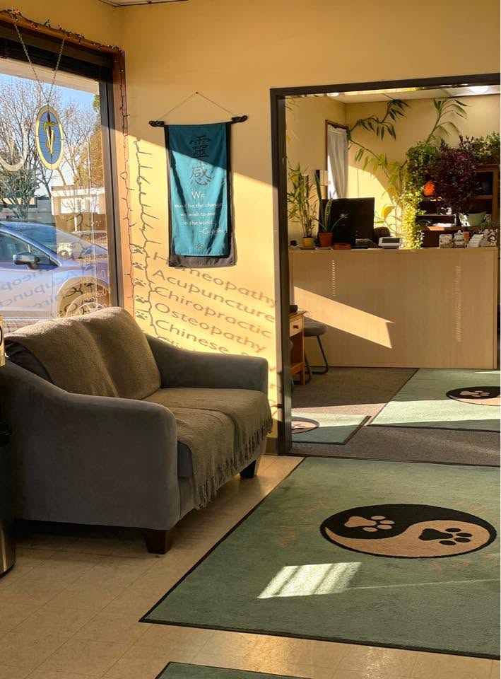 Indoor scene with a gray sofa, a window with sunlight, a hanging blue banner, and a reception desk in the background.