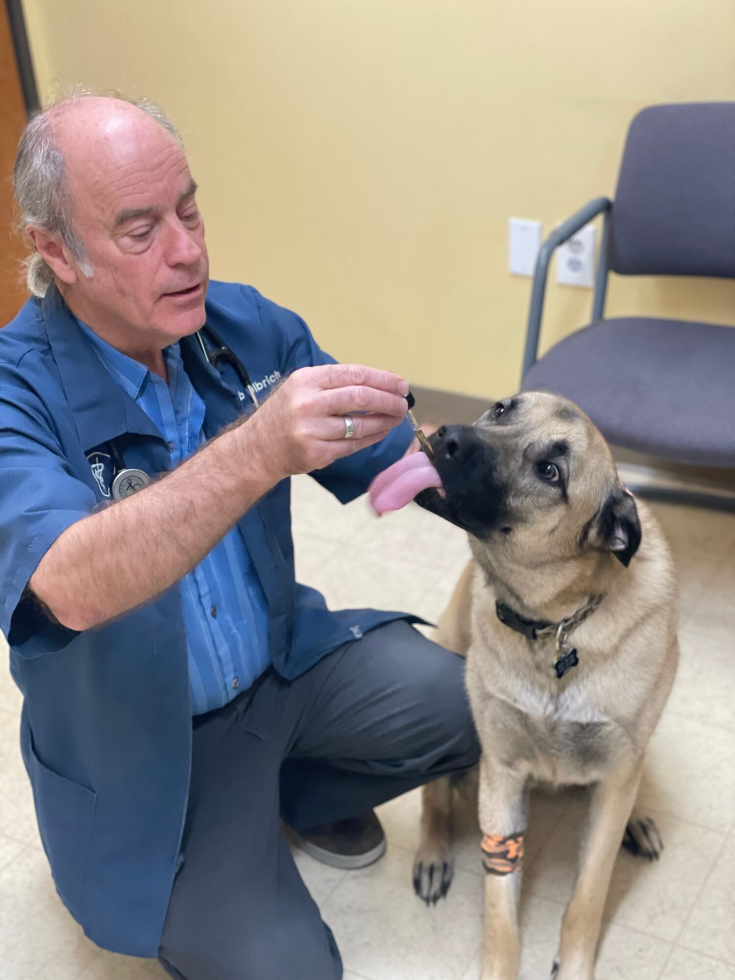 Older man with a dog, holding a treat, dog licking his face, indoor setting with chairs, yellow wall, and electrical outlet.