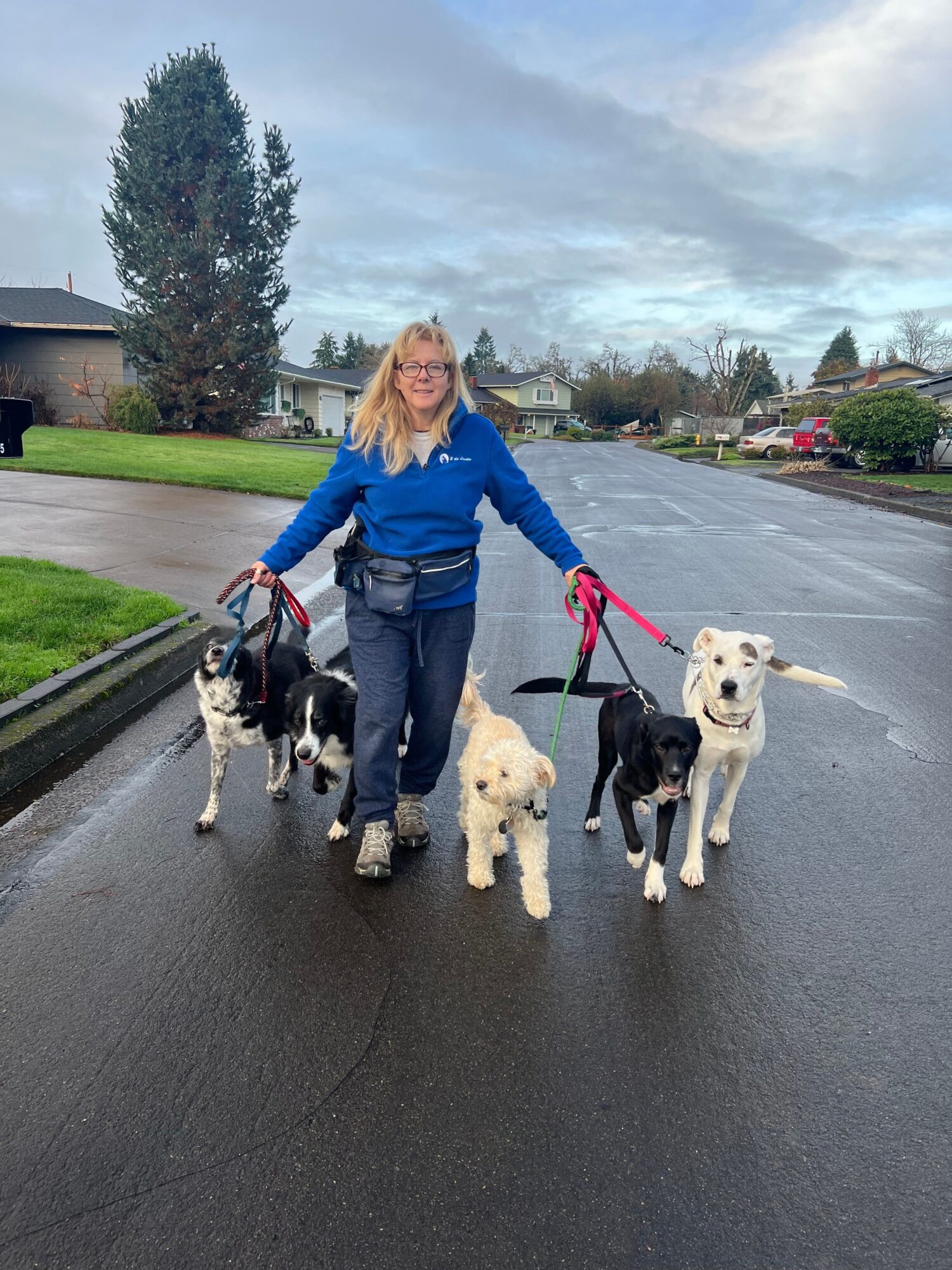 Person walking two dogs on a street, holding leashes, with a cloudy sky and trees in the background.