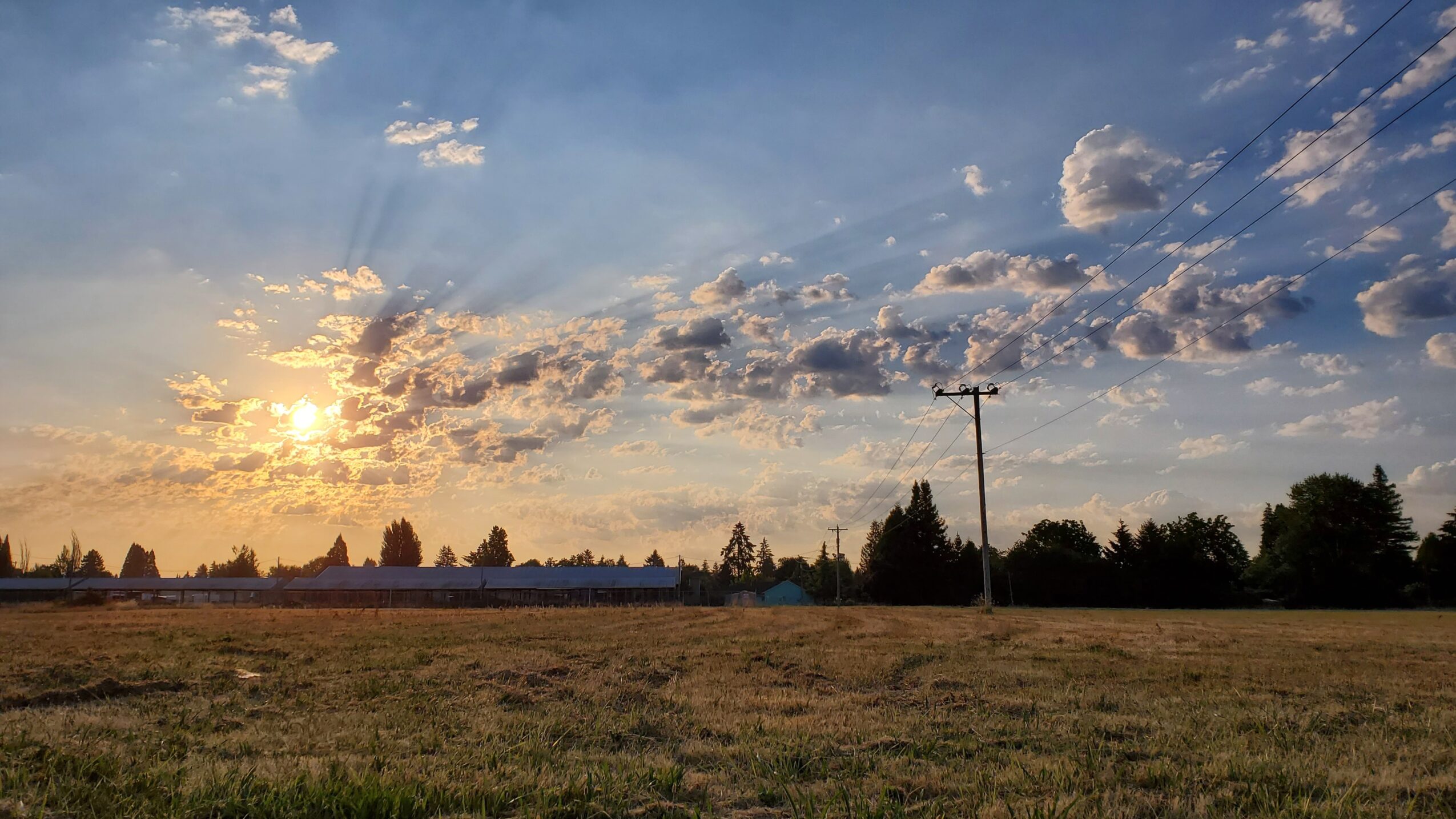 Open field with trees and power lines under a partly cloudy sky during sunset.