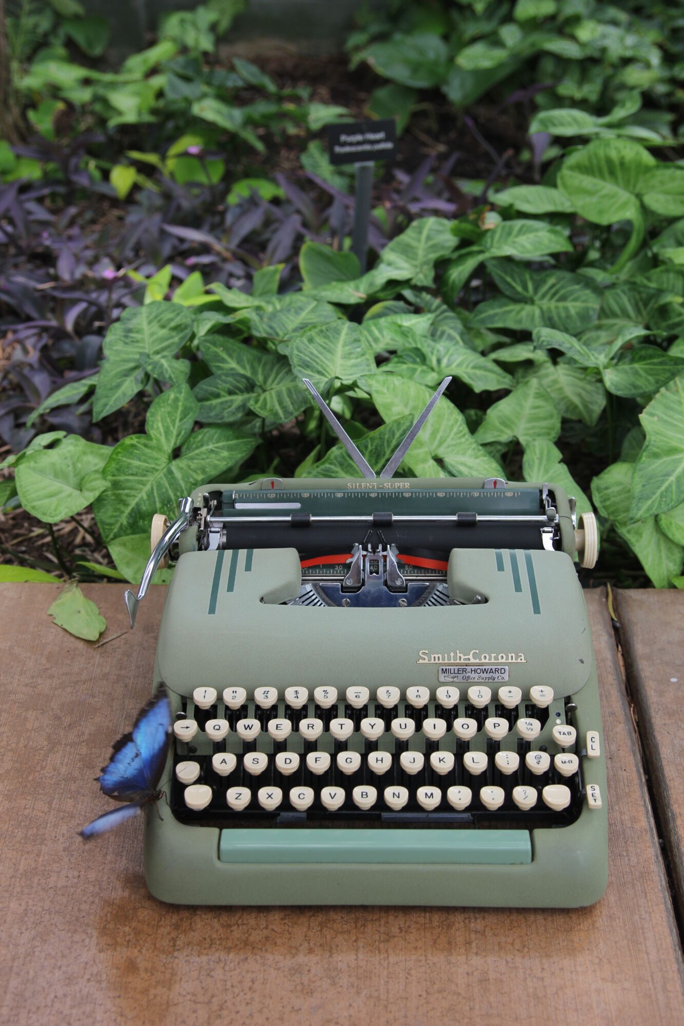 Typewriter with green body and black keys placed on a wooden surface, surrounded by green plants and foliage.