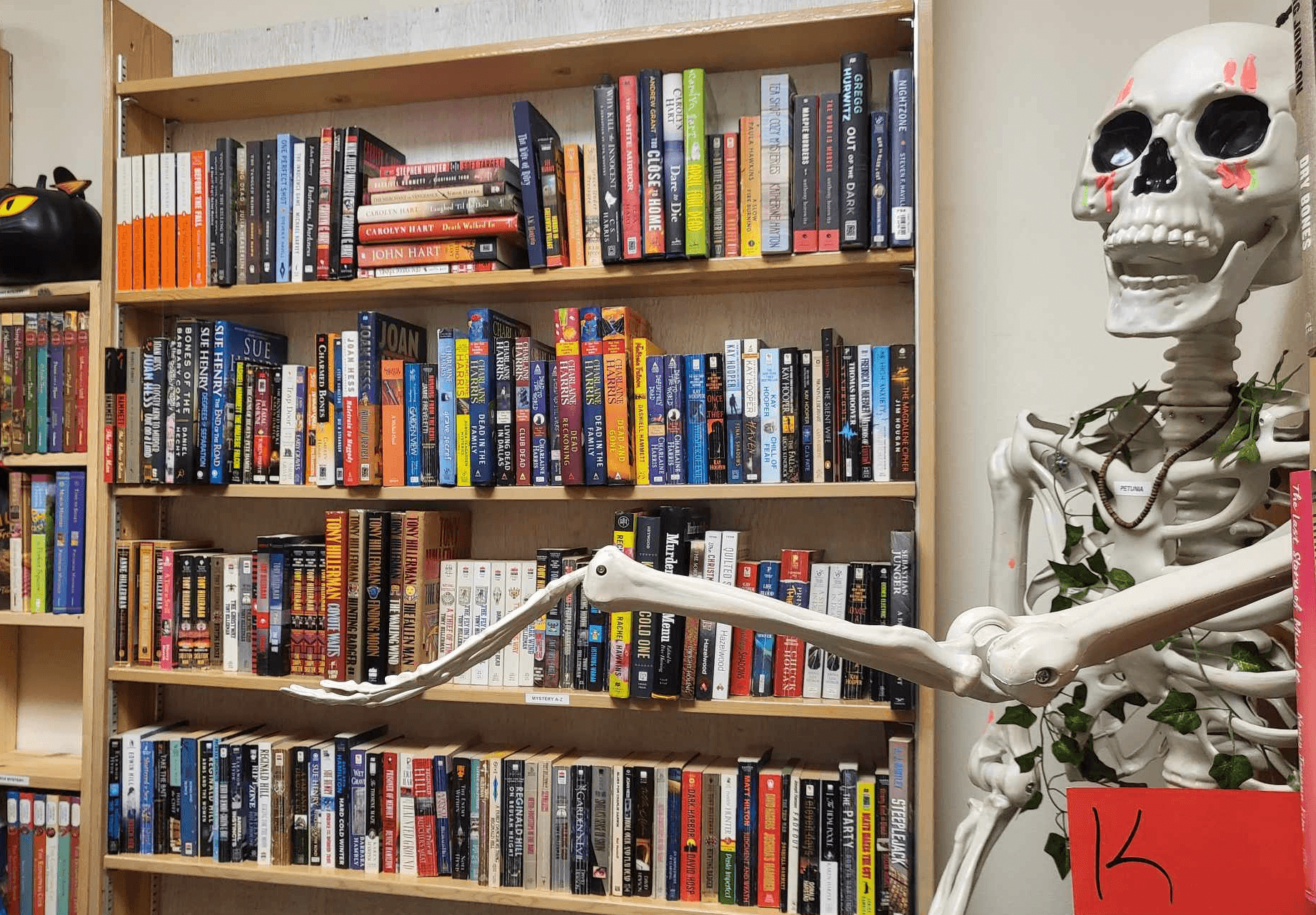 Bookshelves filled with colorful books and a skeleton decoration with a skull, in a room setting.