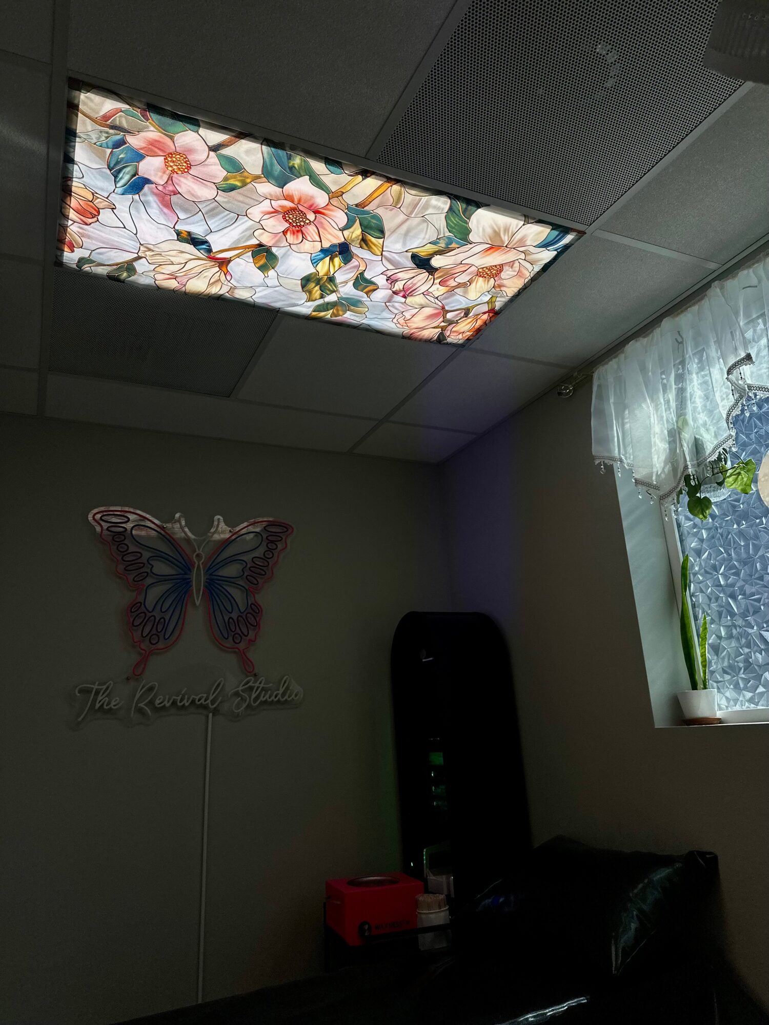 Ceiling light panel with floral pattern, butterfly wall decoration, window with curtain, and potted plant.