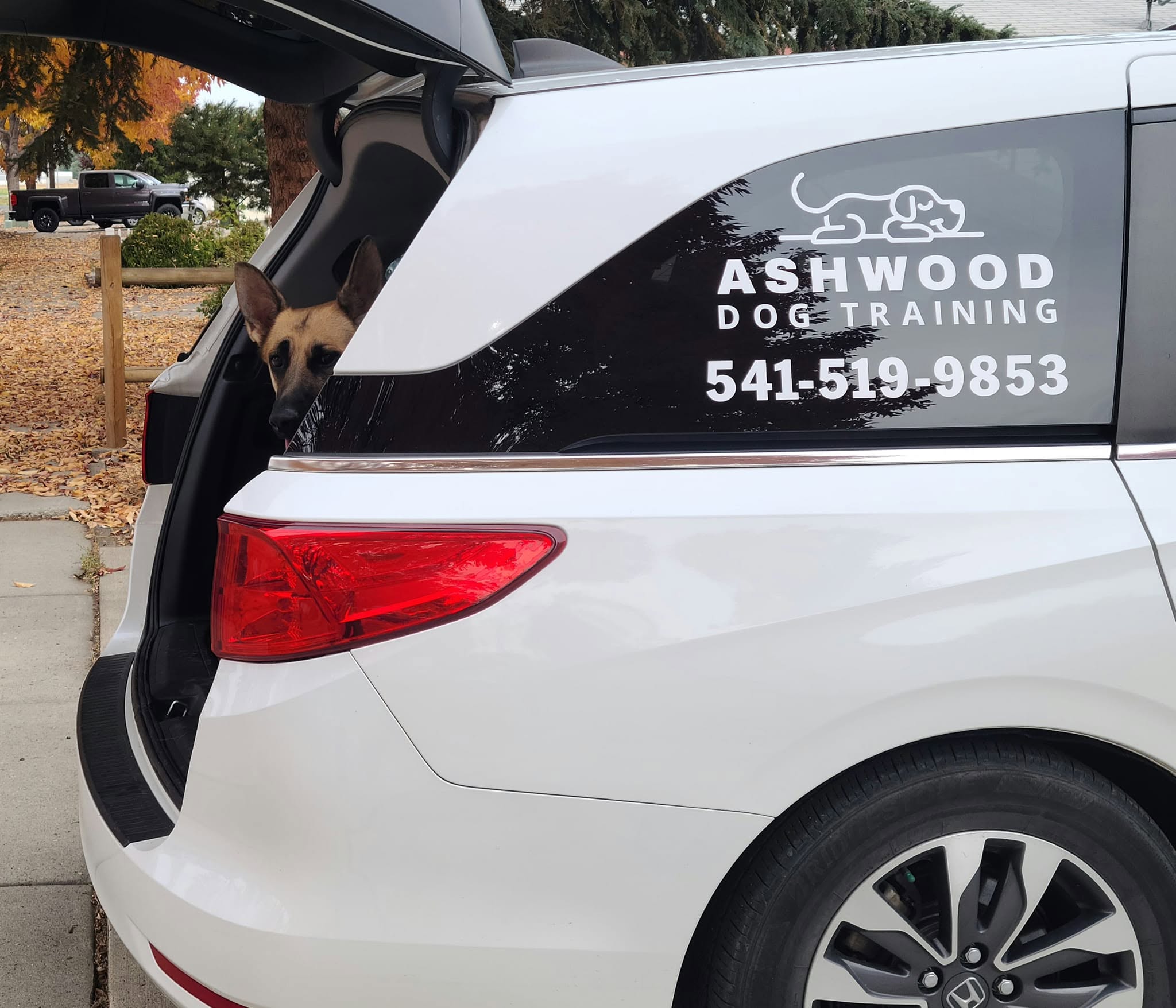 Back of a white vehicle with a dog training business logo and contact number on the side.
