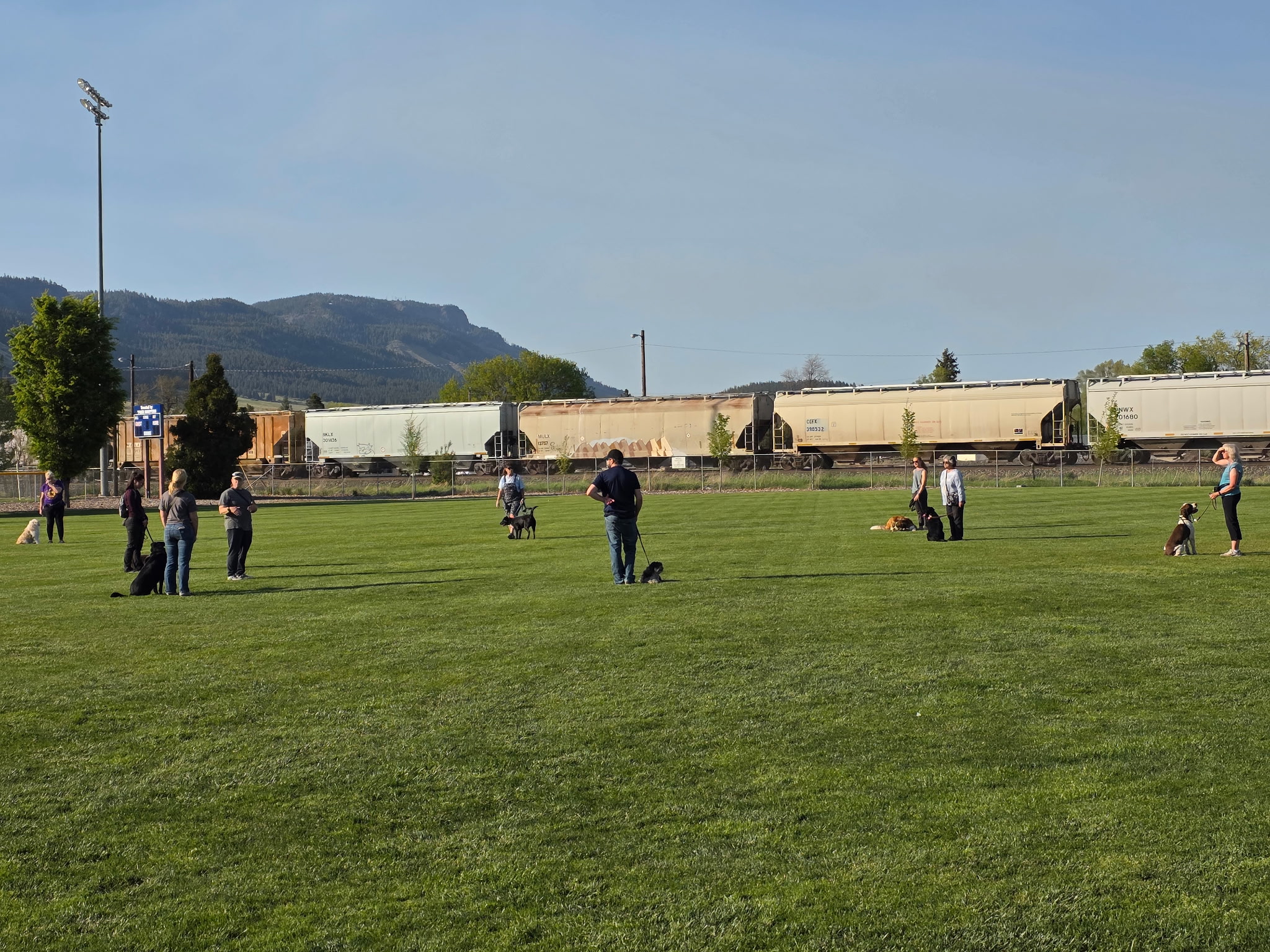People playing soccer on a grassy field with train cars in the background and mountains in the distance.