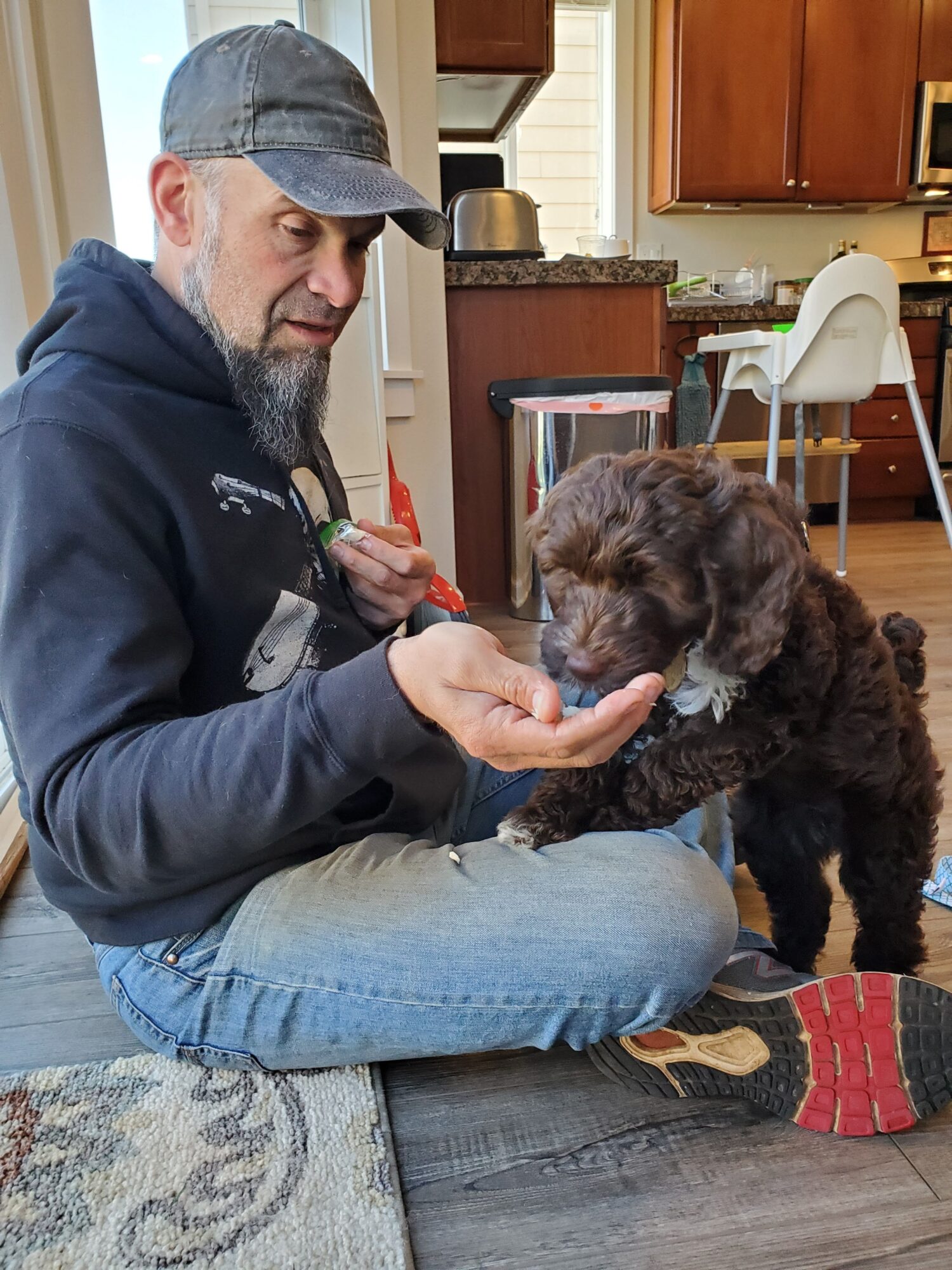 Man sitting on a rug with a black puppy, holding the puppy's paw and looking at it, in a cozy room.