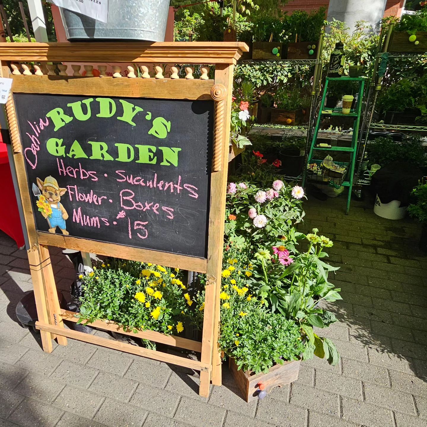 Chalkboard sign outside a garden shop with colorful text, surrounded by potted plants and flowers, on a paved walkway.