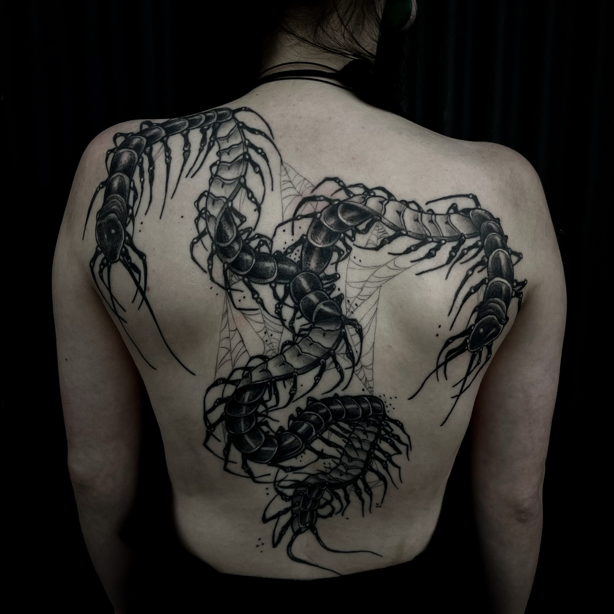 Back view of a person with a large black scorpion tattoo covering the upper back and shoulders.