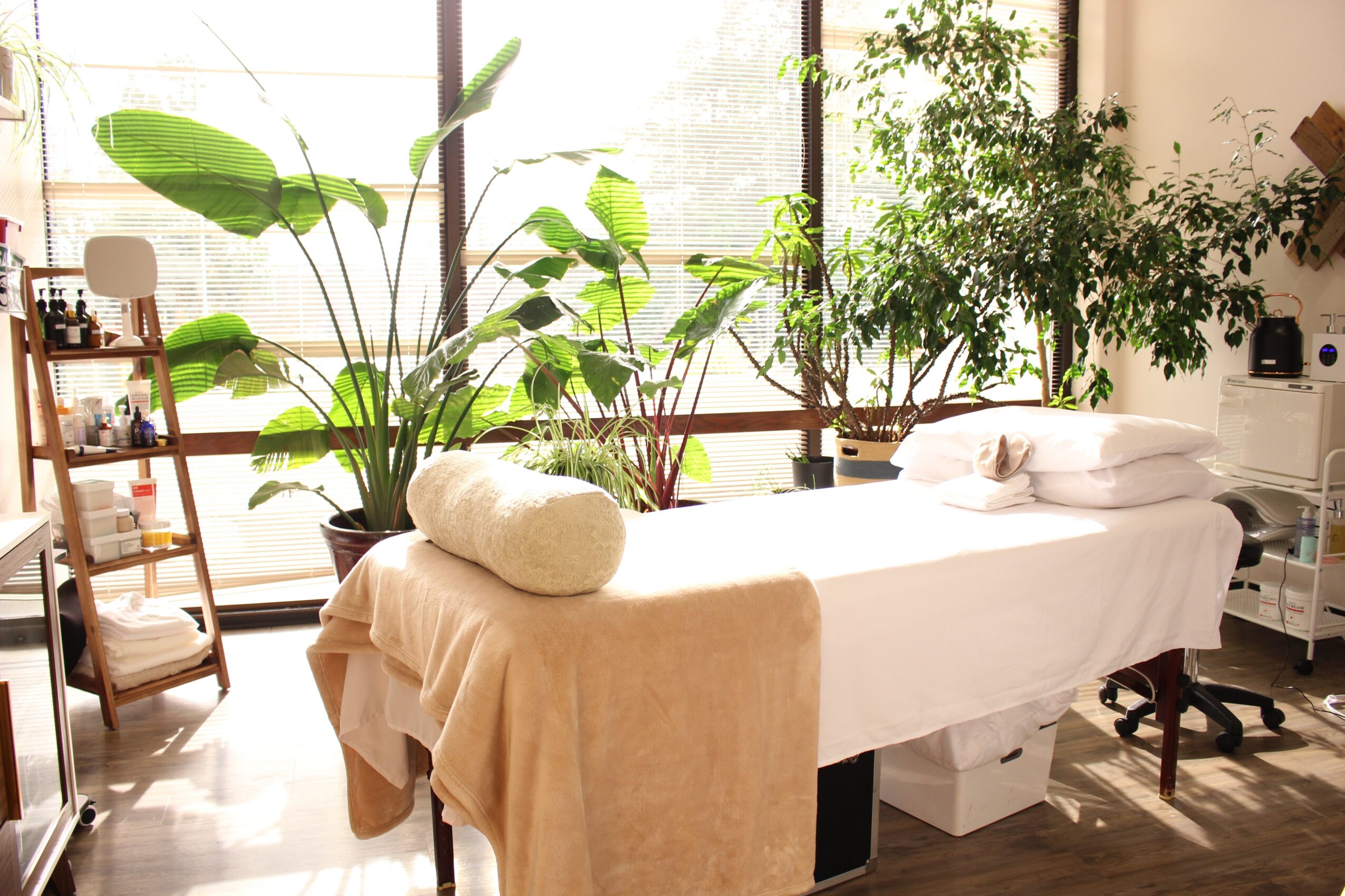Massage table with pillows in a bright room with large plants and sunlight, wooden furniture, and a window view.