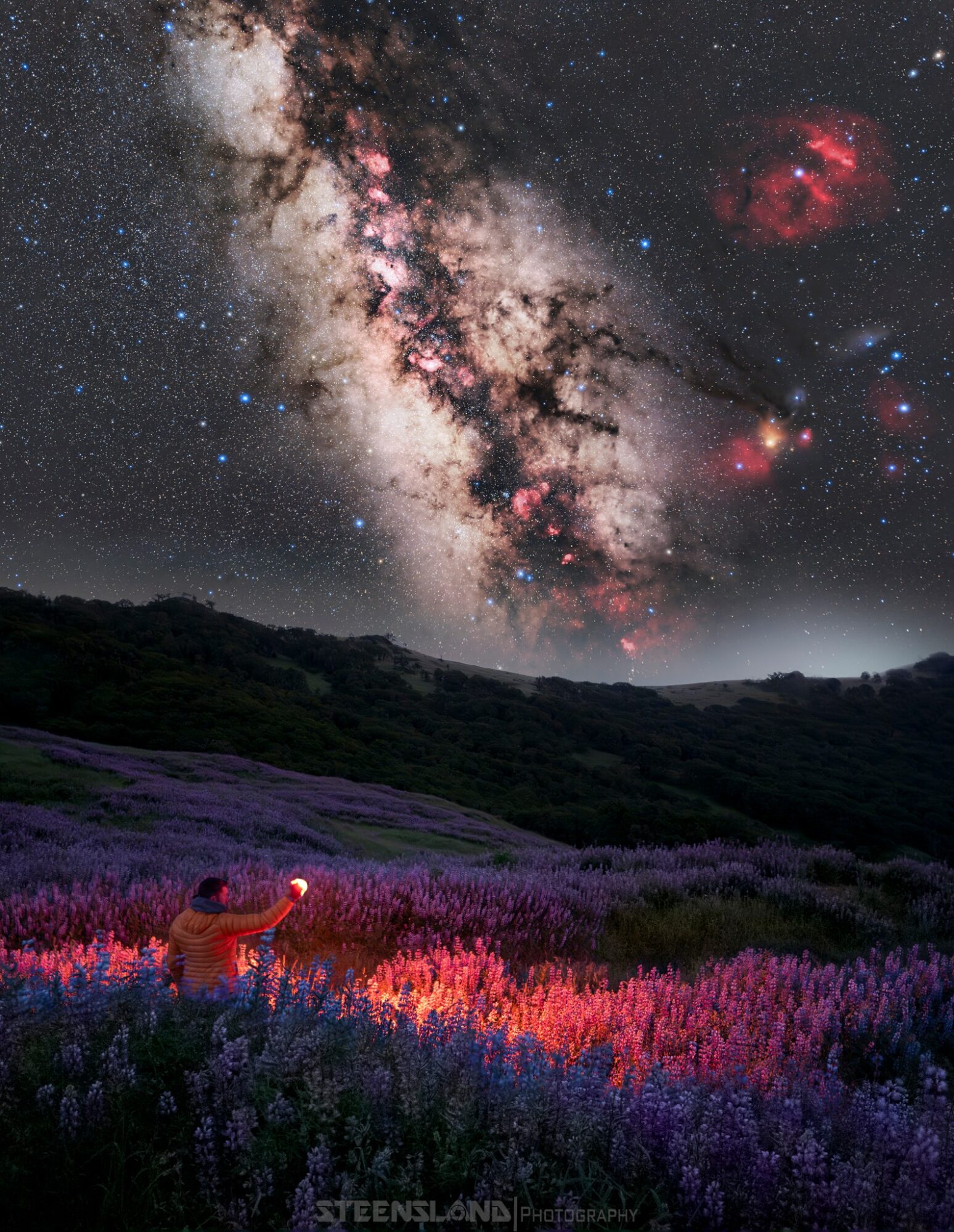 Person in a field of purple flowers reaching toward a starry night sky with the Milky Way galaxy visible.