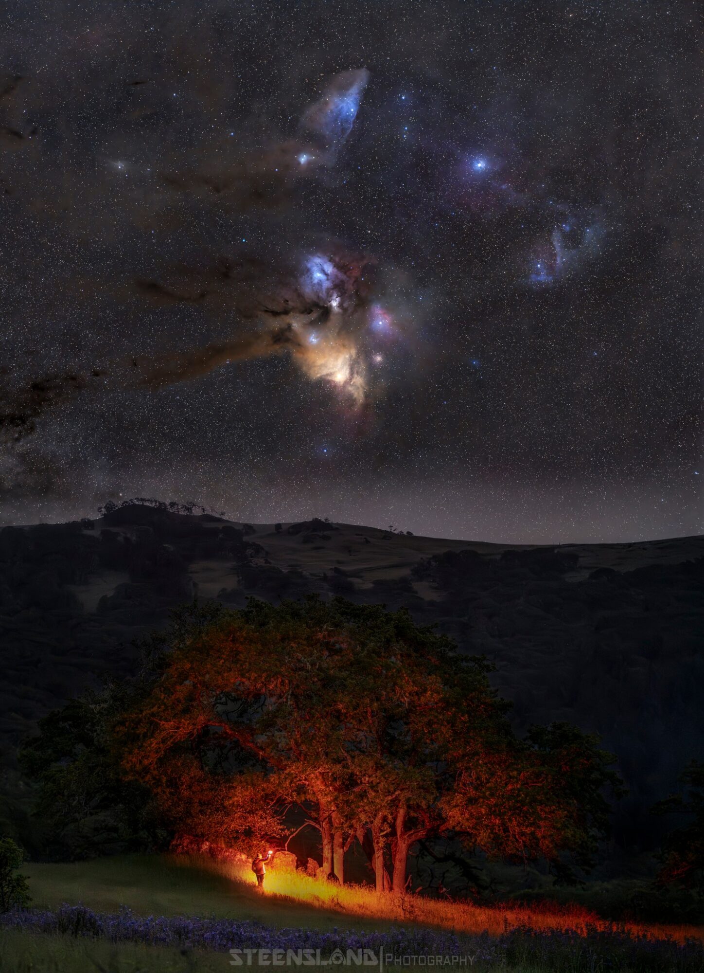 Night sky with stars and nebulae above a landscape with a glowing tree illuminated by orange light.