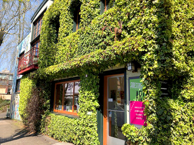 Building covered in green ivy with windows and a door, sunlight, and a sidewalk in front.