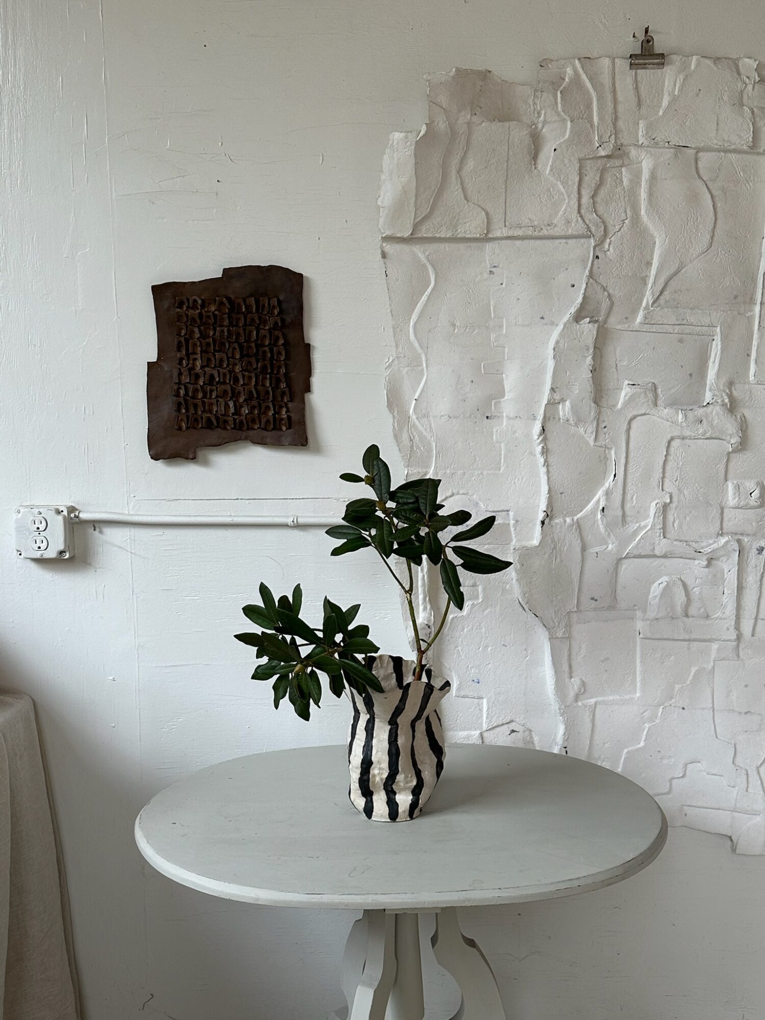 A potted plant with dark green leaves on a white round table against a textured white wall.