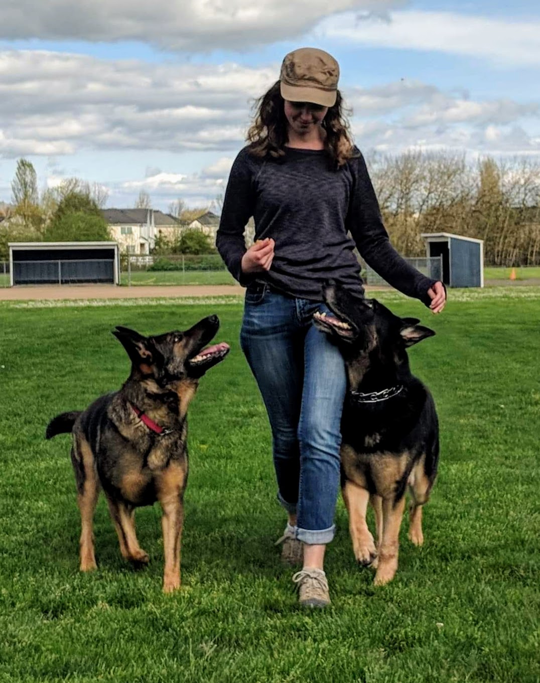 Woman walking two dogs on a grassy field with trees and a cloudy sky in the background.
