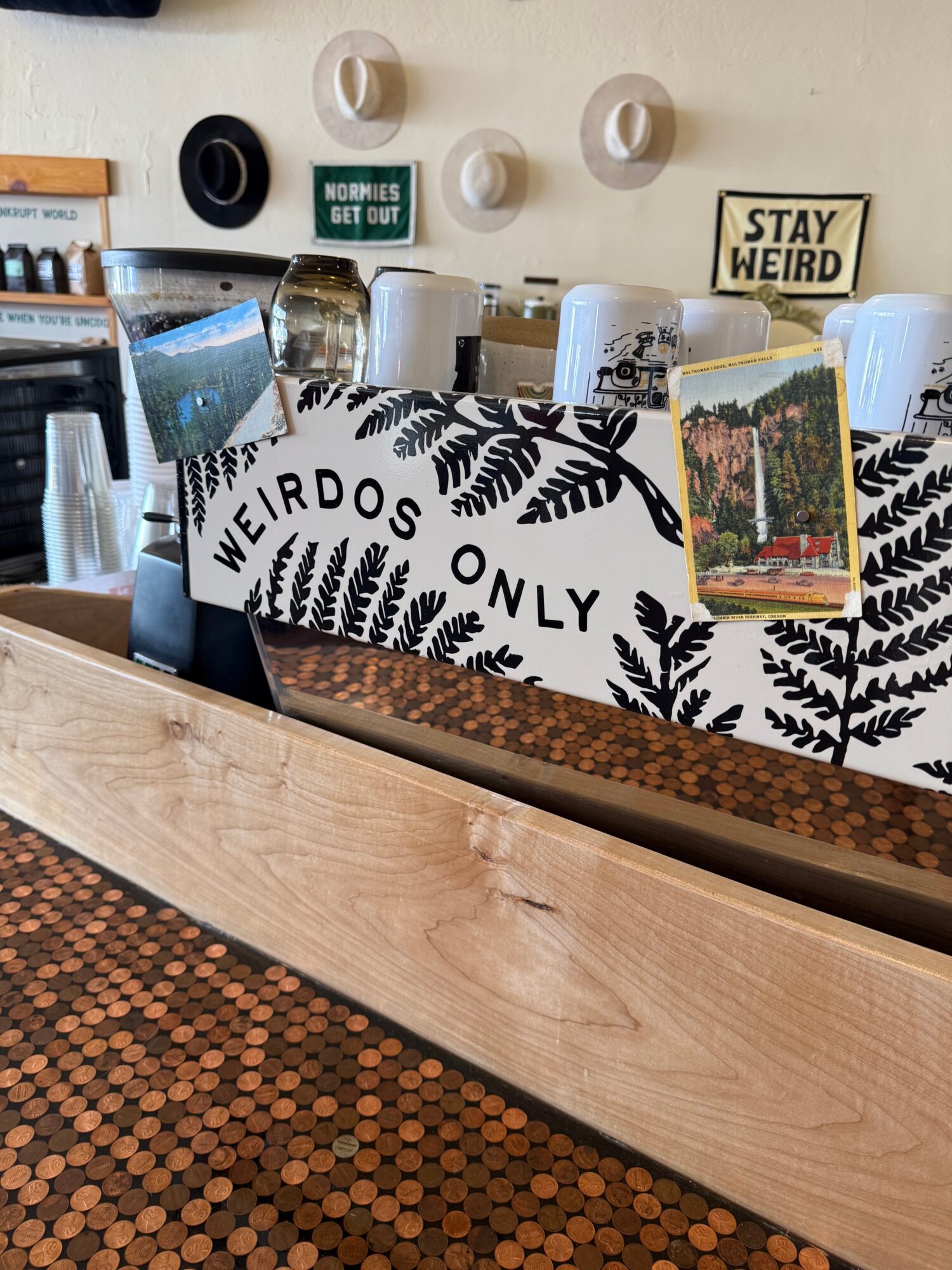 Decorative box with black fern pattern, a photo, and signs reading 'WEIRDO'S ONLY' and 'STAY WEIRD' on a shelf.