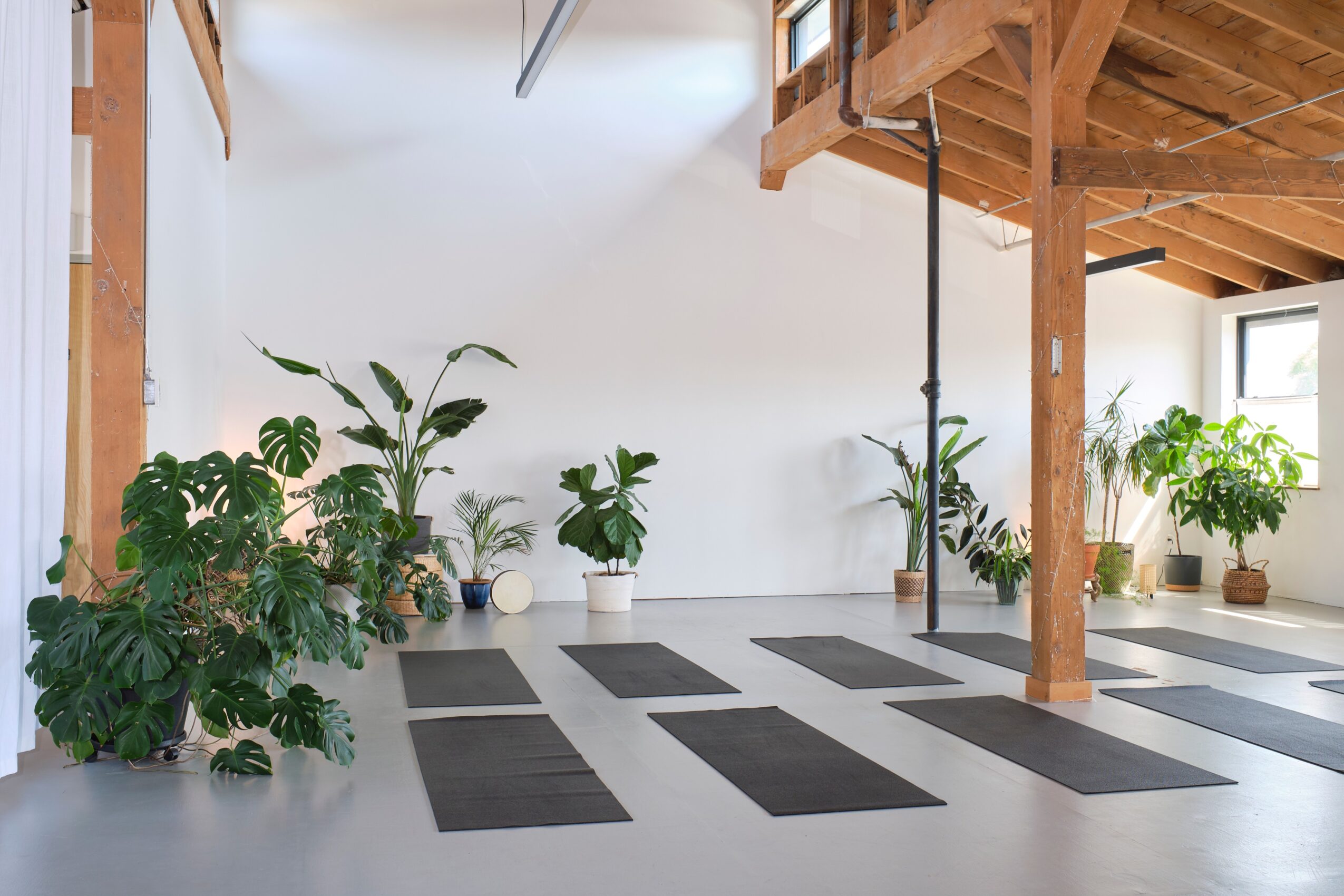 Yoga mats arranged on a wooden floor in a bright room with potted plants and wooden beams.