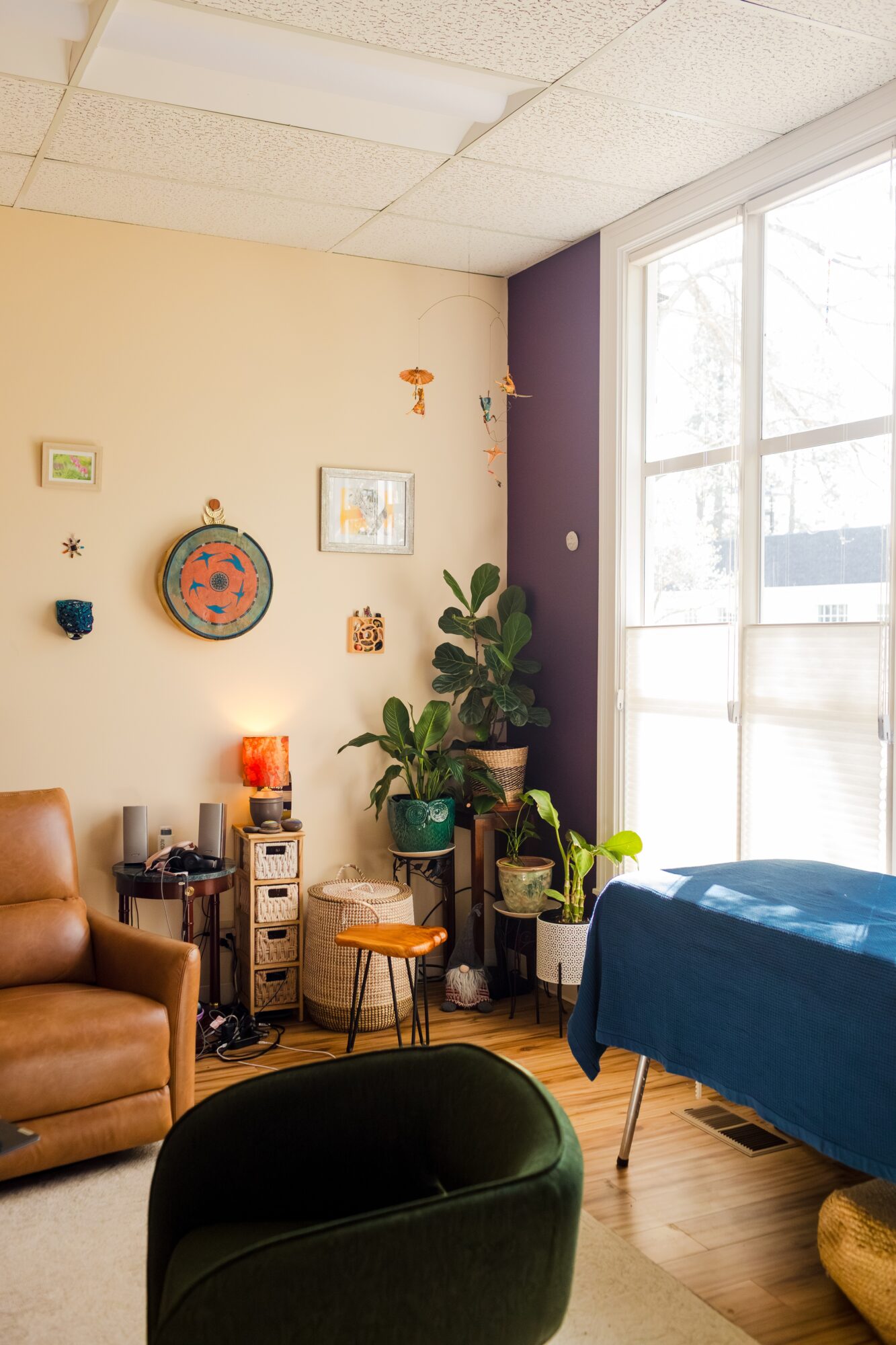 Living room with a brown sofa, a table with a lamp, a plant, and a window with curtains, sunlight streaming in.