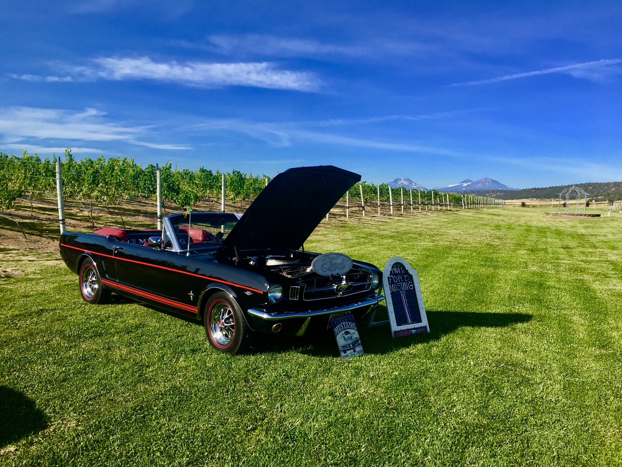 Vintage black car with open hood on grassy field, vineyard in background, under blue sky with clouds.