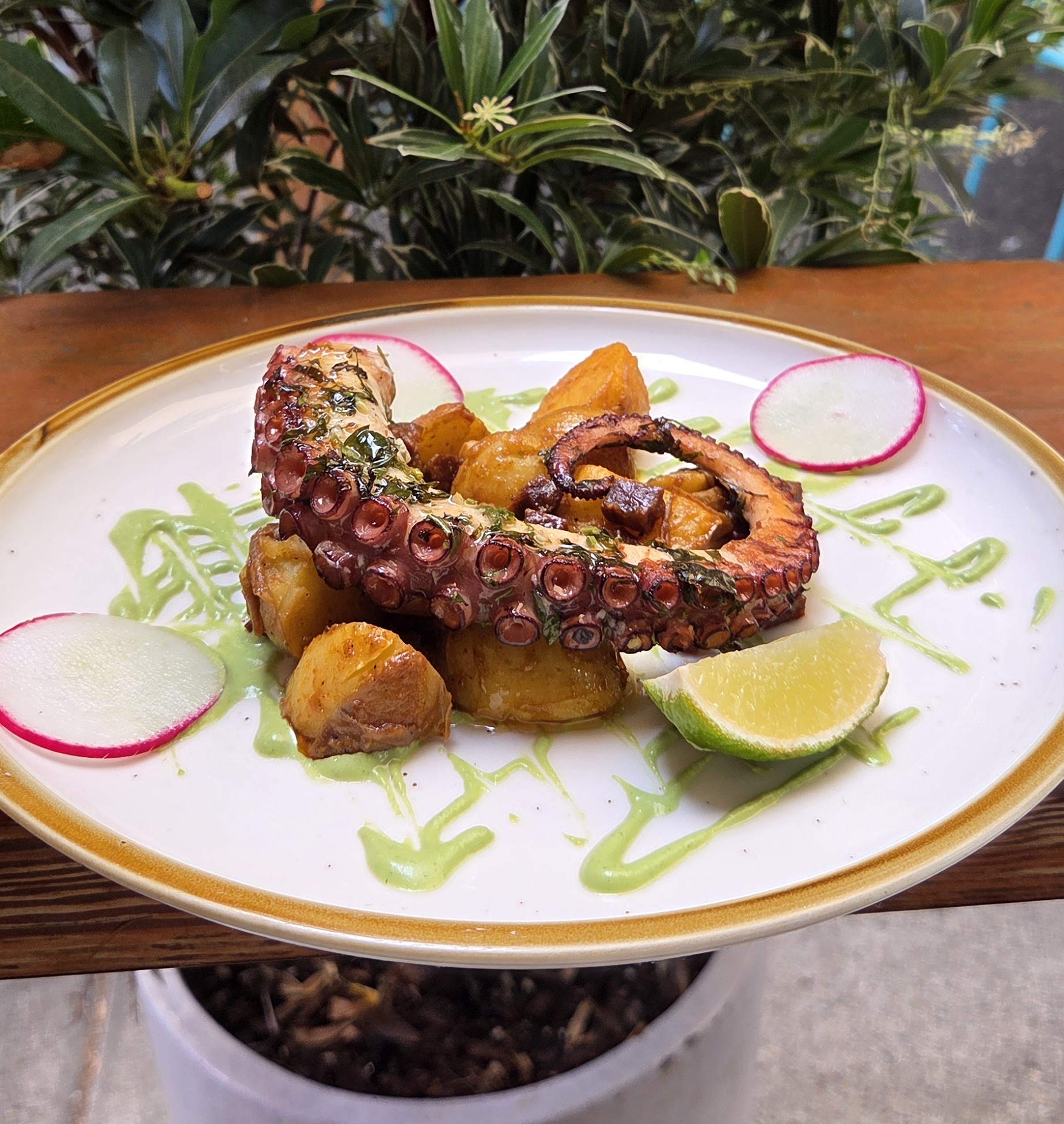 Grilled octopus tentacle with roasted potatoes, radish slices, lime wedge, and green sauce on a white plate with a gold rim.