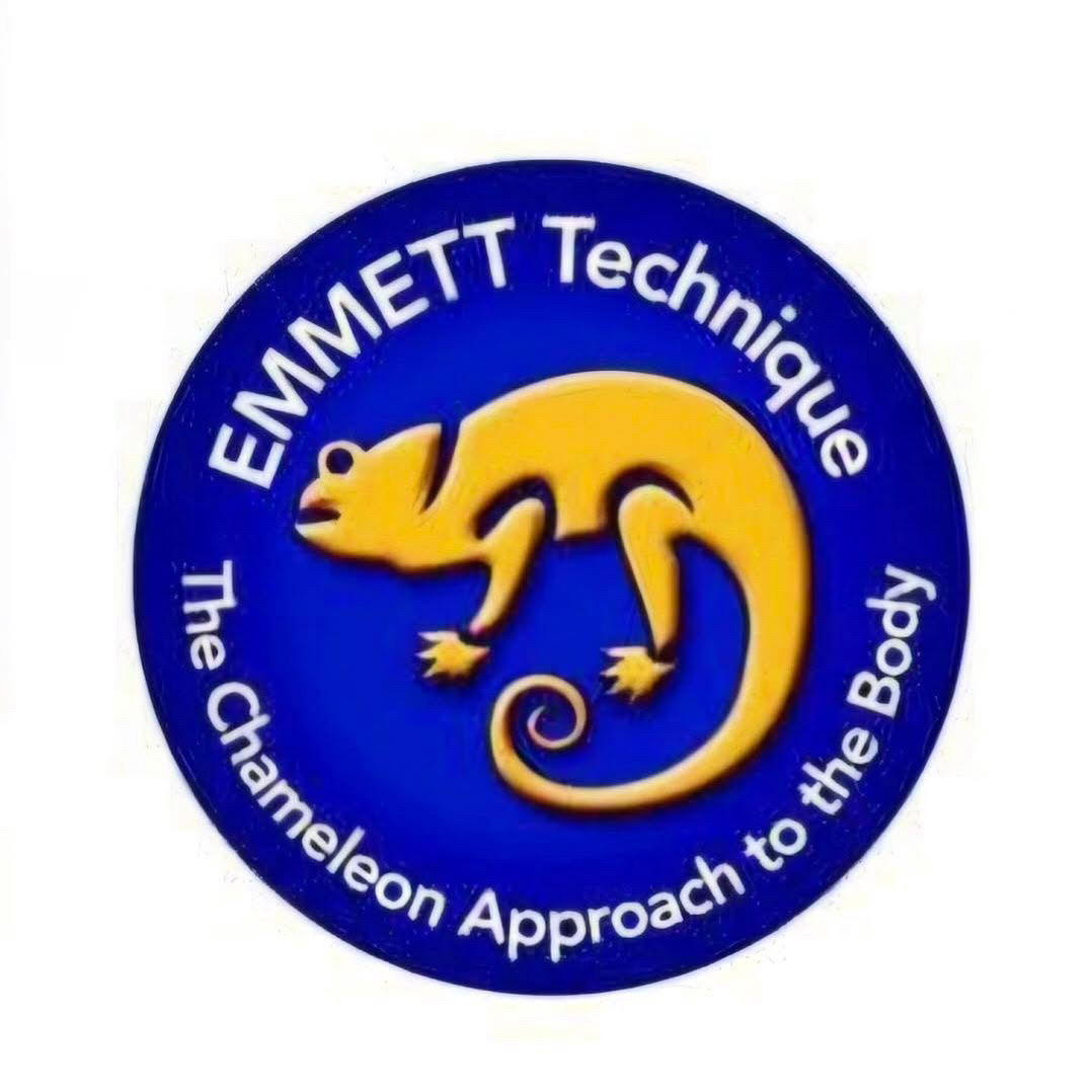 Circular logo with a yellow chameleon on a blue background, text reads 'EMMETT Technique' and 'The Chameleon Approach to the Body'.