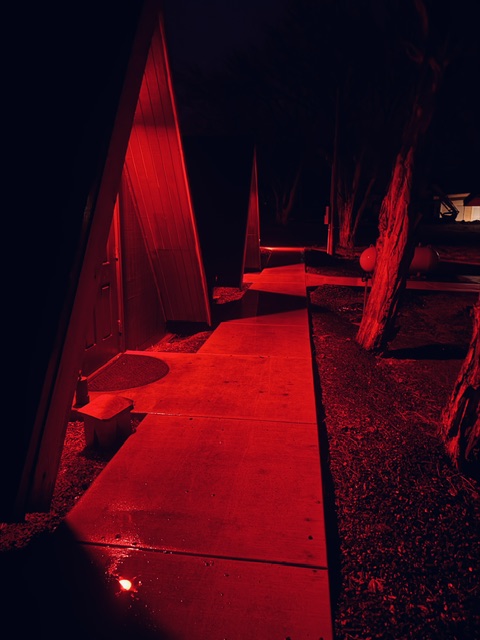 Sidewalk illuminated by red light, with trees and a building in the background at night.