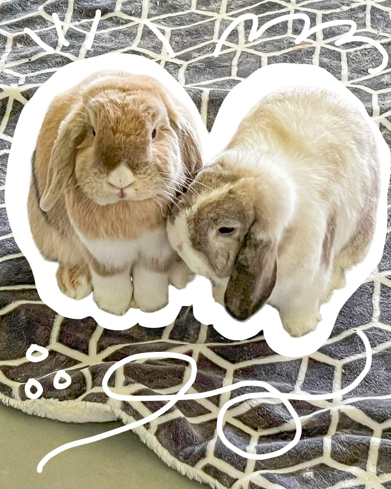 Two rabbits sitting on a patterned surface, one light brown and the other white with gray markings, facing each other.