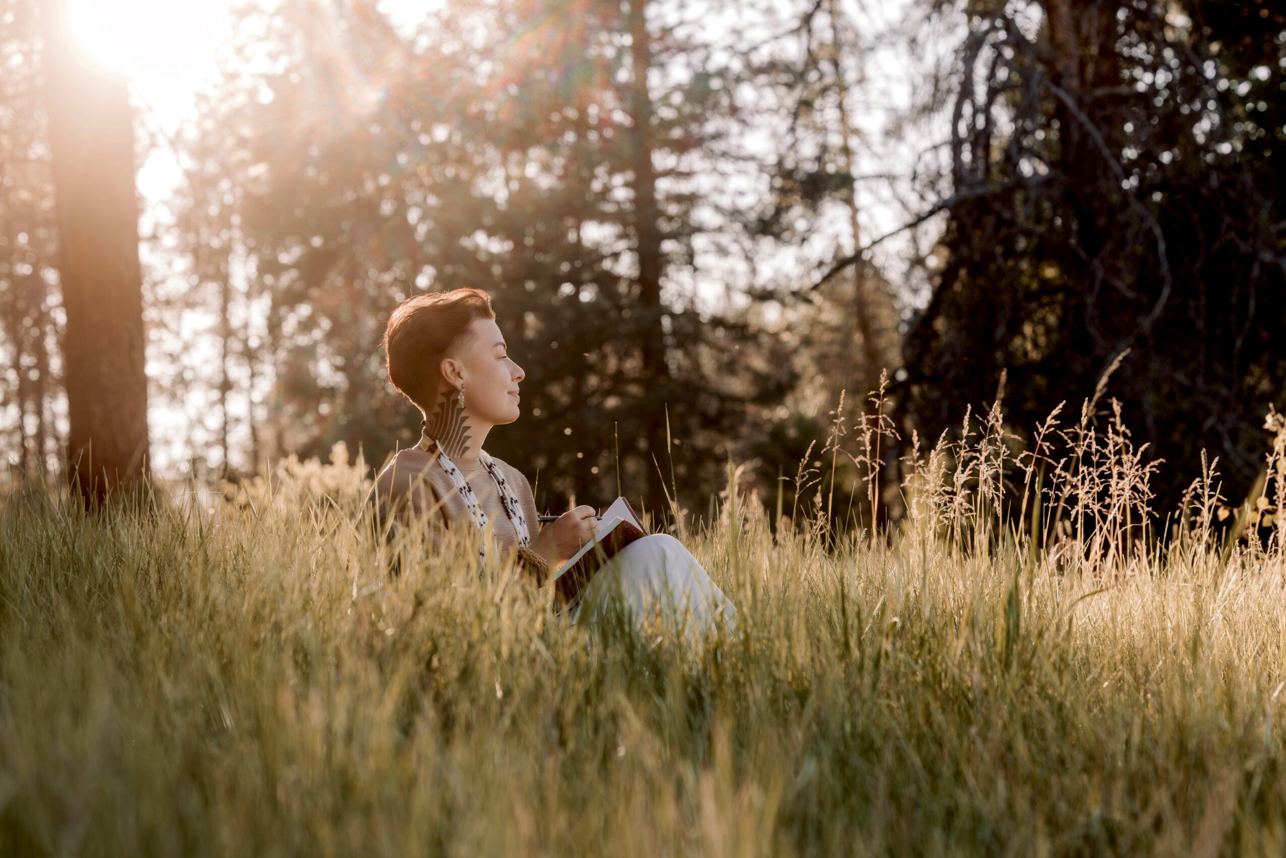 Person sitting in a grassy field reading a book, sunlight filtering through trees in the background.