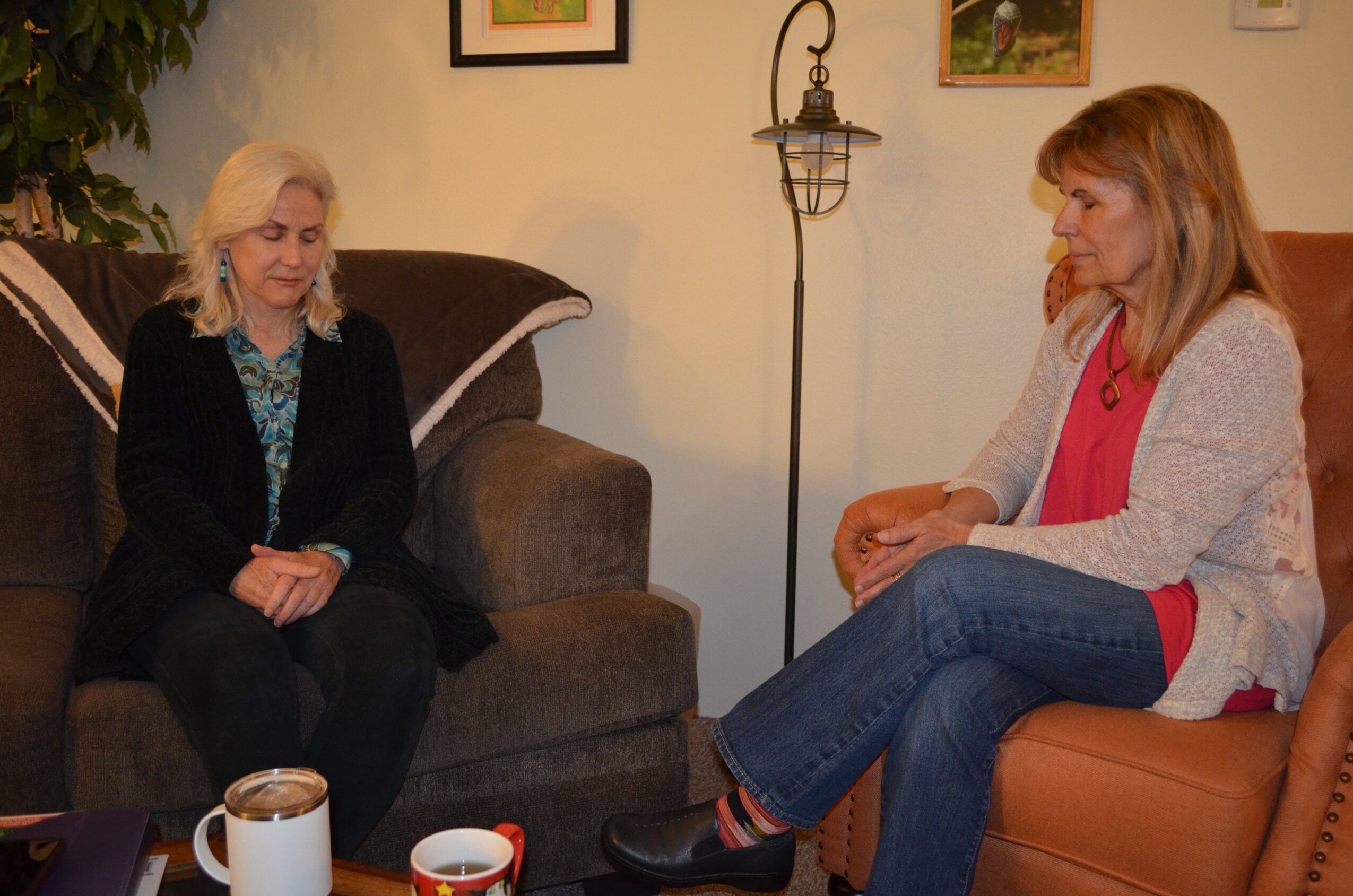 Two women sitting and talking in a living room, one on a dark sofa and the other on a light-colored chair.