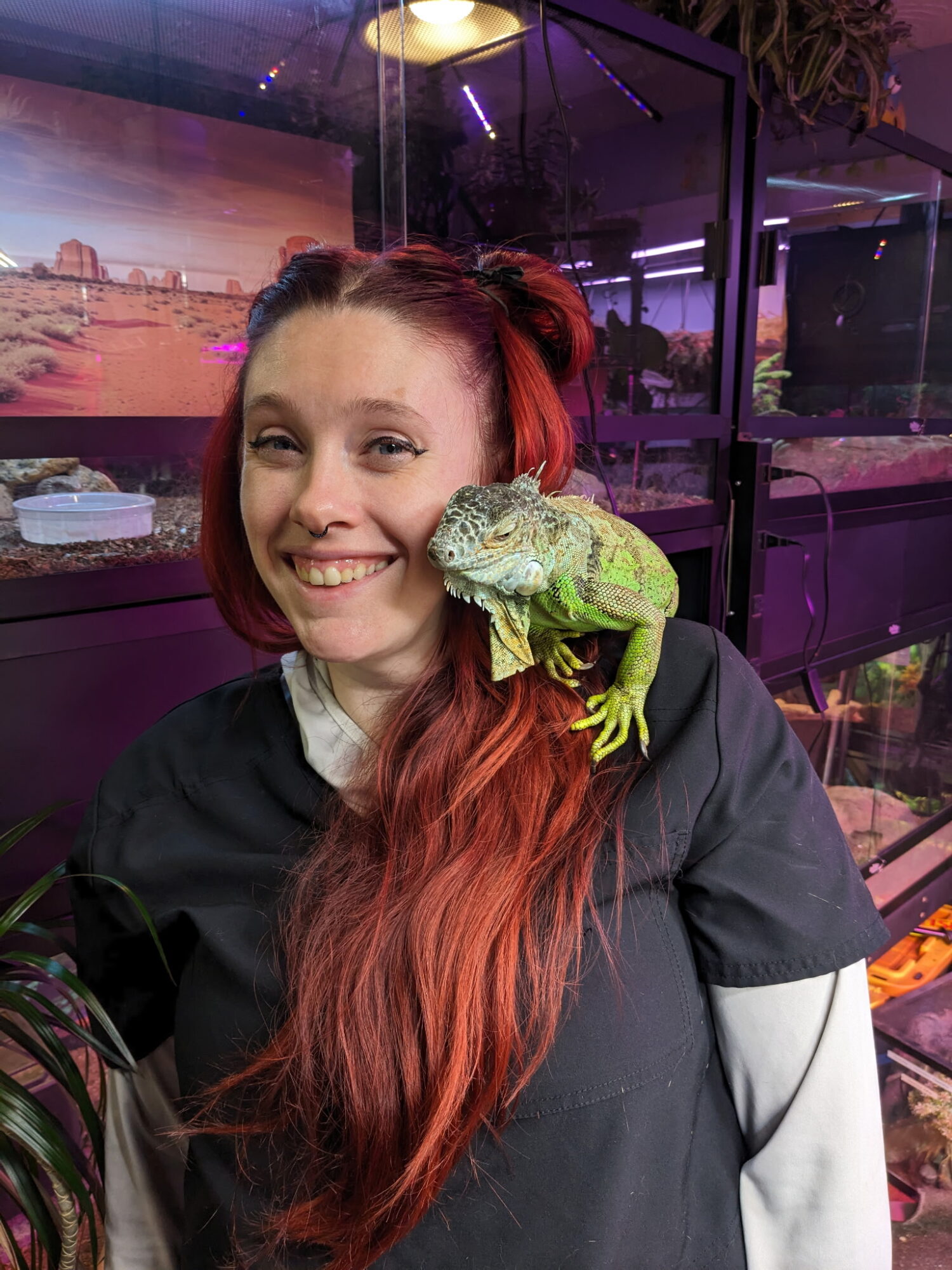 Young woman with long red hair smiling, holding a green iguana on her shoulder, in a pet store.