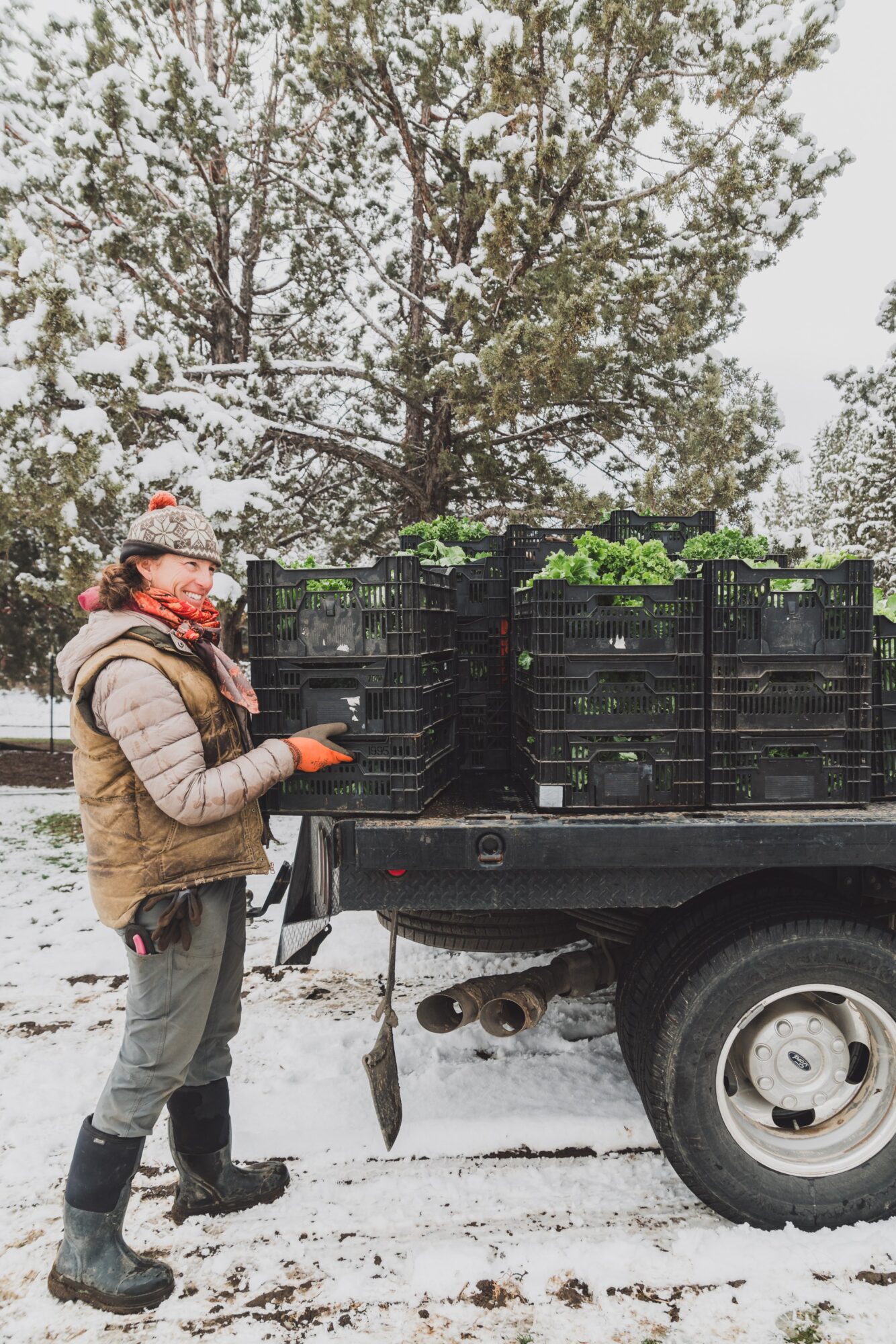 Person standing next to a truck with crates of plants outdoors in snowy weather, trees in background.