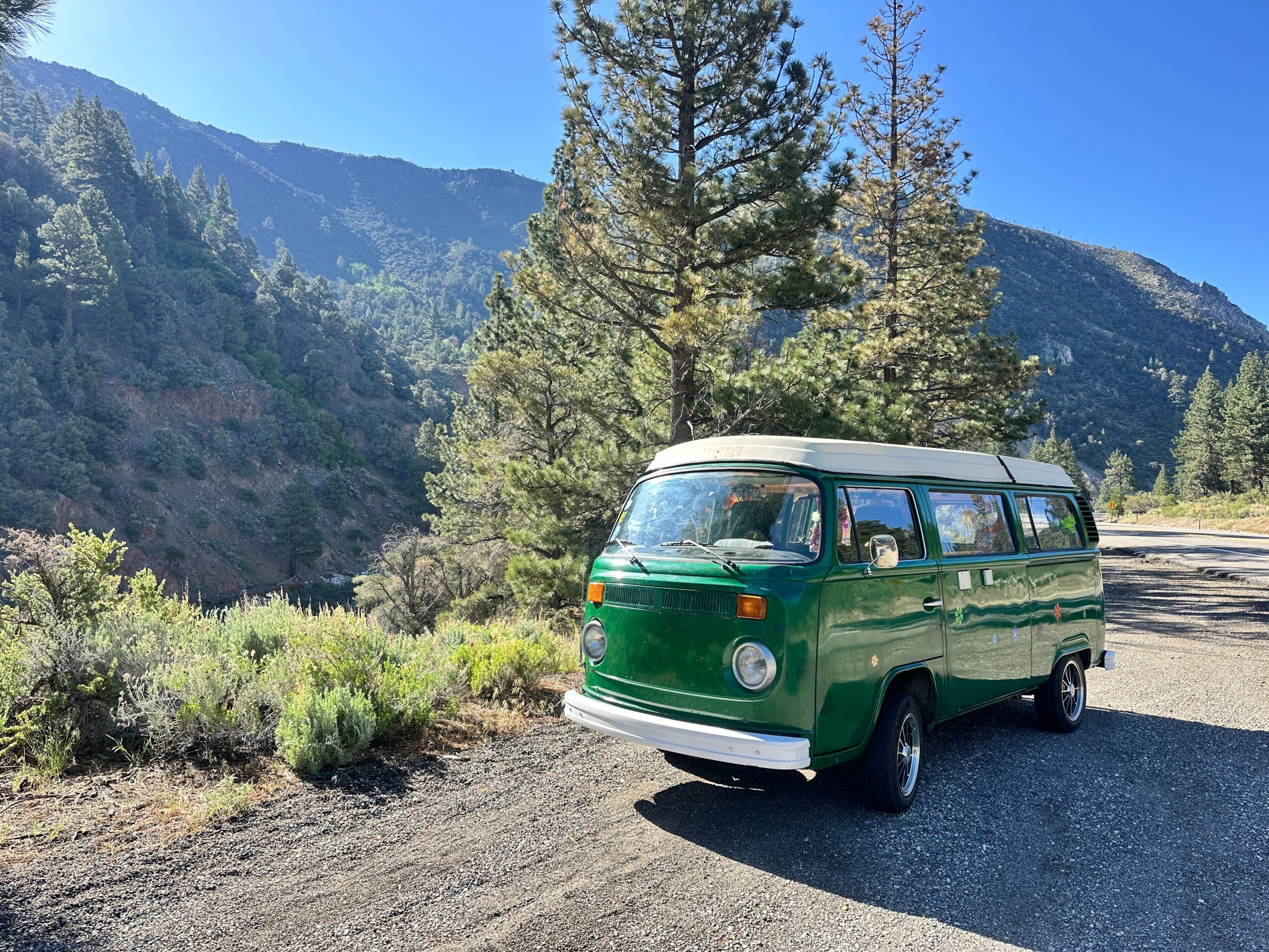 Green and white bus parked on a dirt road with trees and mountains in the background.
