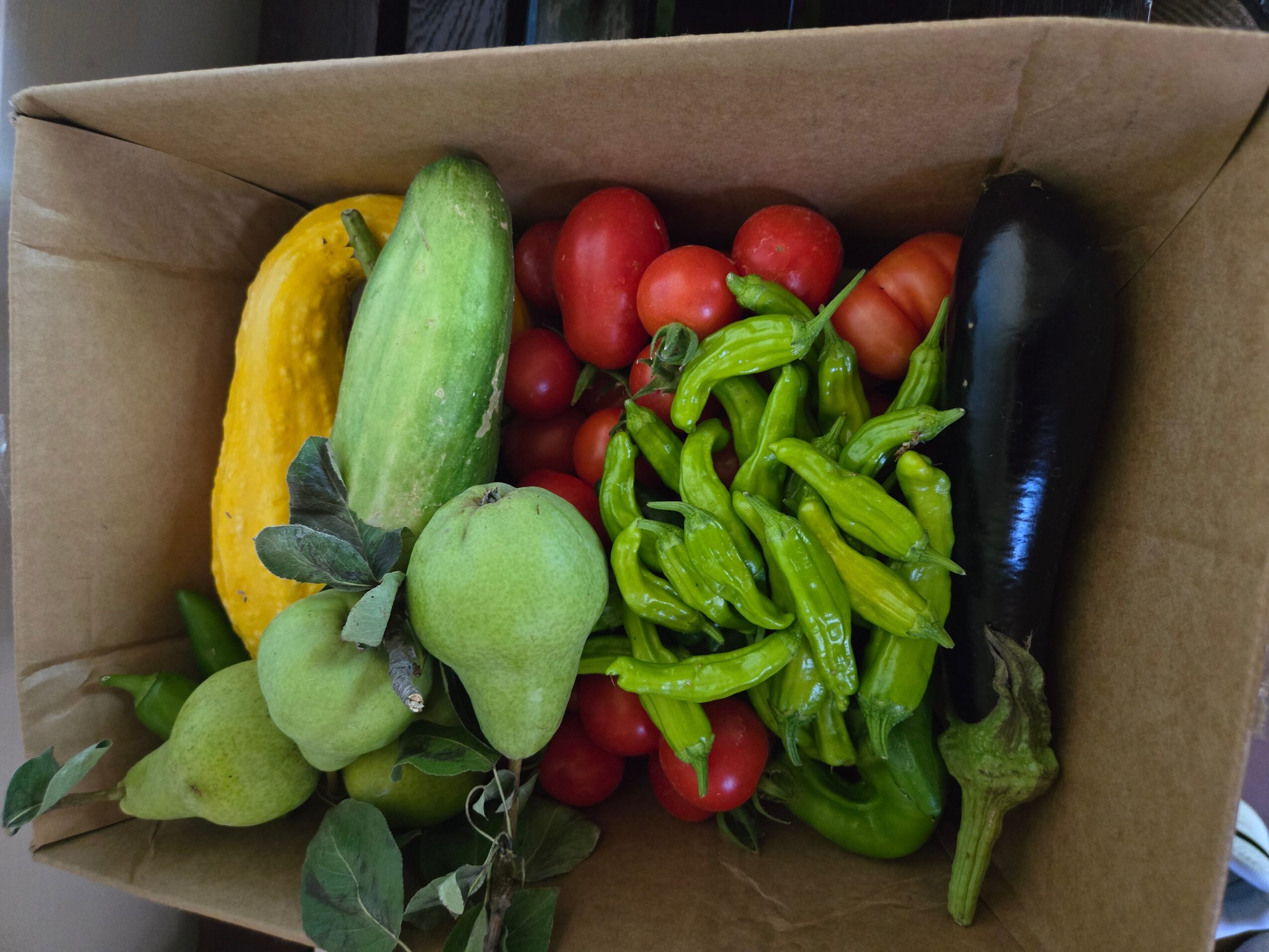 Box filled with yellow pepper, cucumber, green peppers, cherry tomatoes, eggplant, and green leaves.