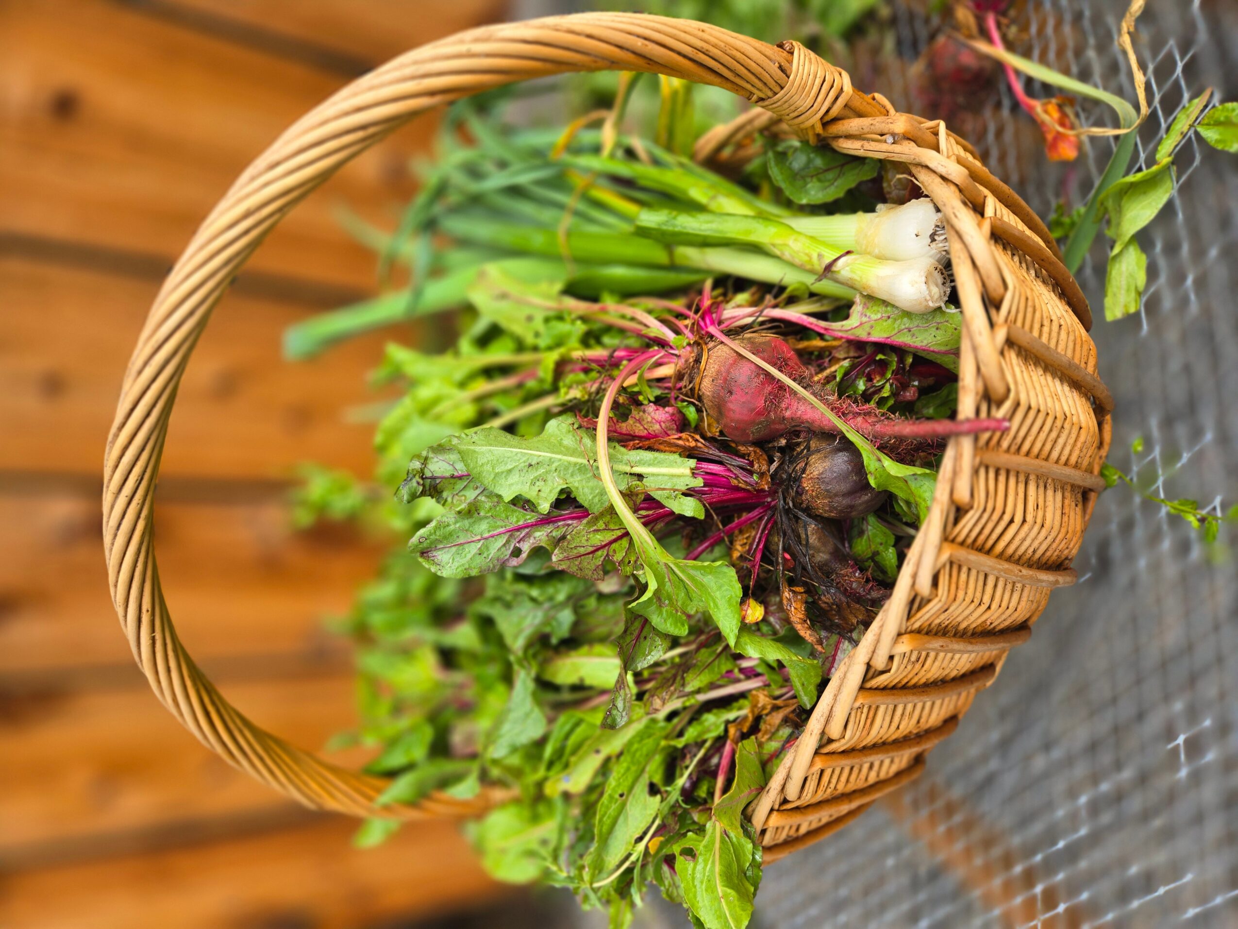 Basket filled with freshly harvested leafy greens and root vegetables, placed on a surface with a wooden background.