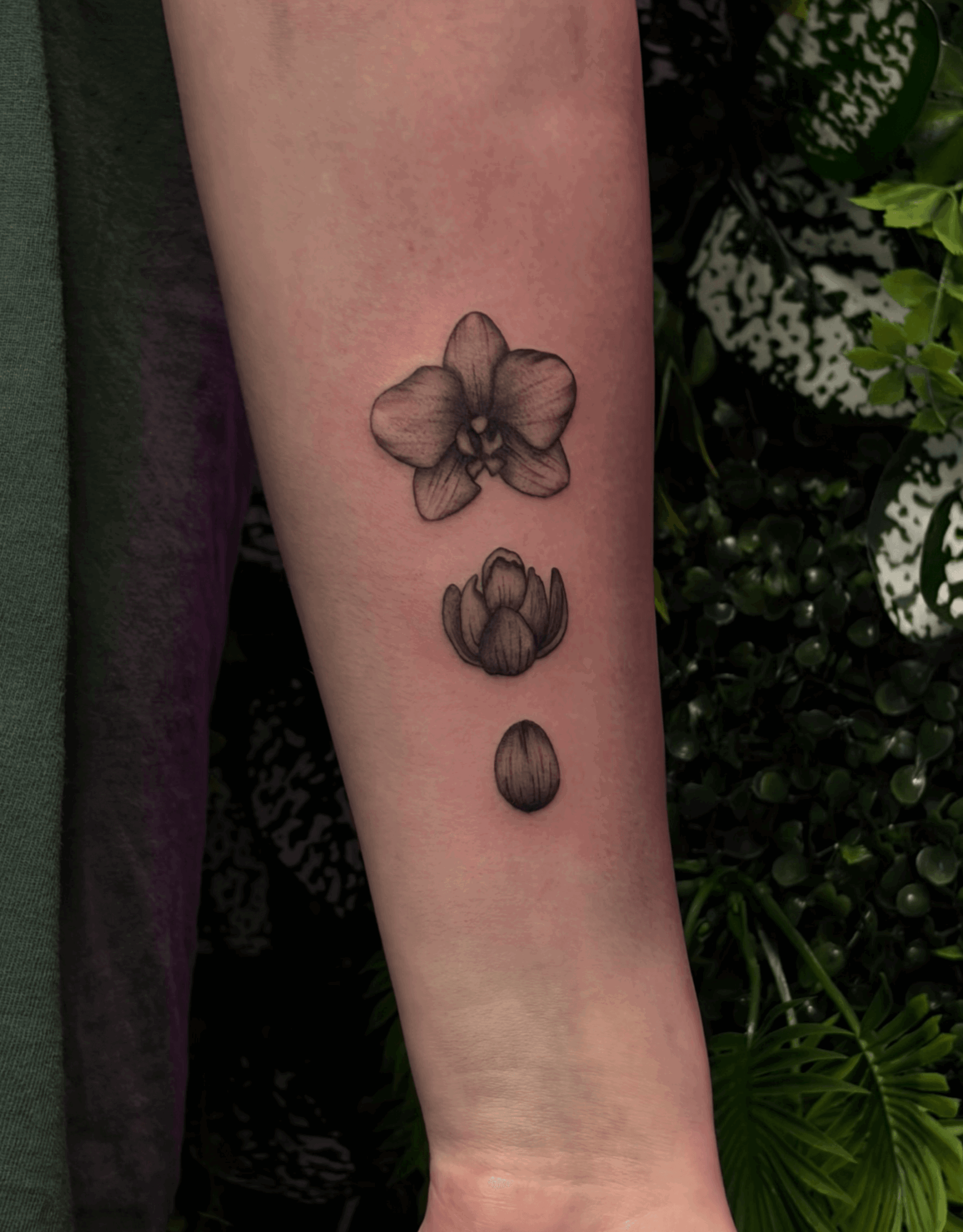 Tattoo of a flower, a bud, and a small round shape on a person's forearm, with green foliage in background.