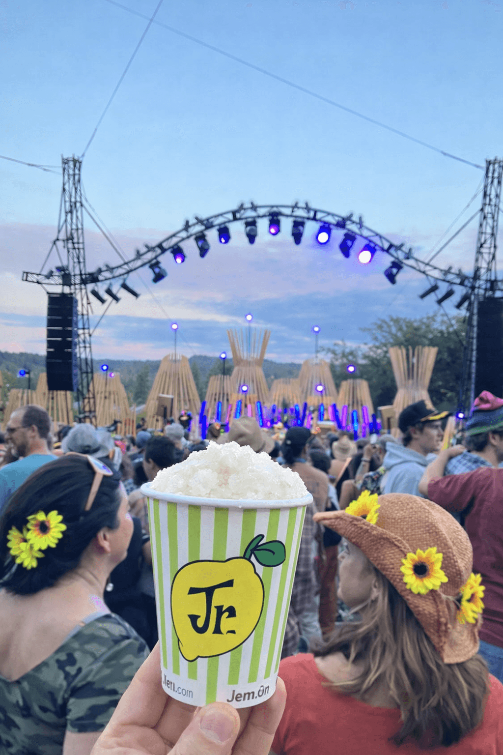 Crowd watching outdoor concert with stage and purple lighting, person holding popcorn with yellow sunflower hat nearby.