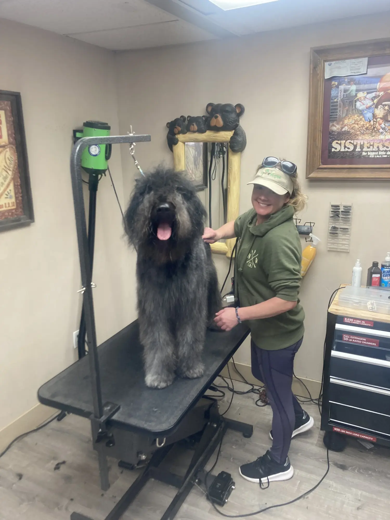 Person with glasses and cap grooming a large, long-haired dog on a grooming table in a room.