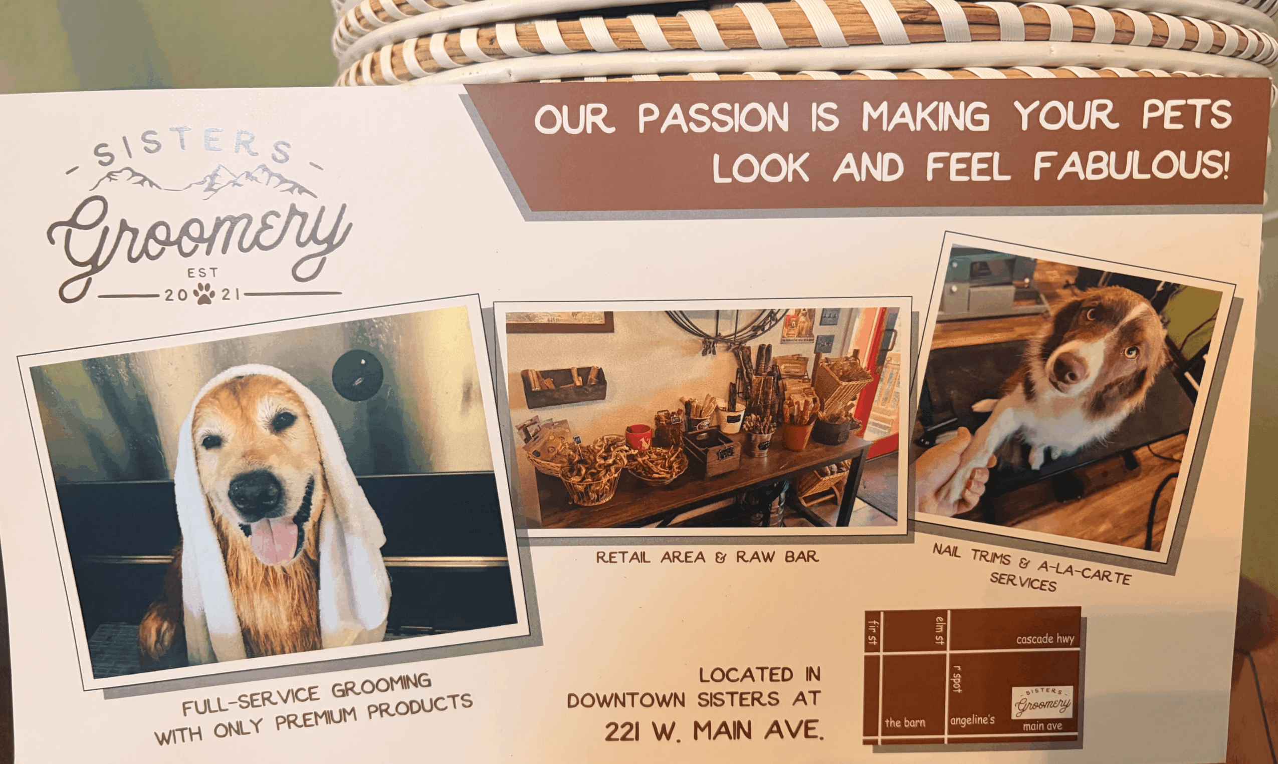 Open grooming brochure with images of a dog, a bar, and a dog in a crate, and text about pet grooming and a bar.