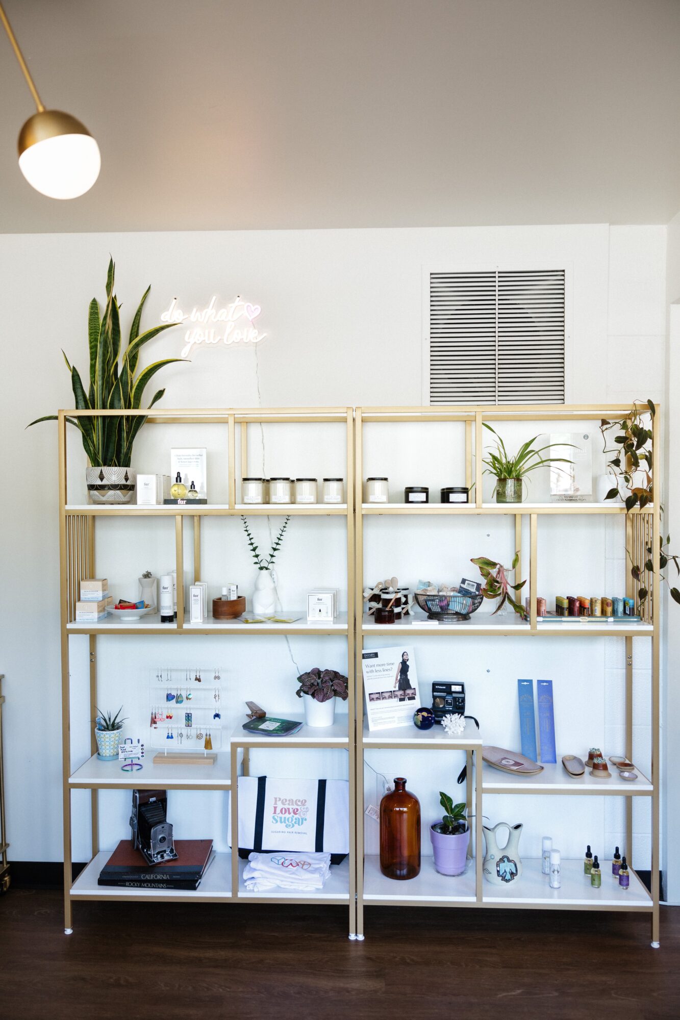 Wooden bookshelf with plants, books, and decorative items against a white wall, with a ceiling light visible at the top.