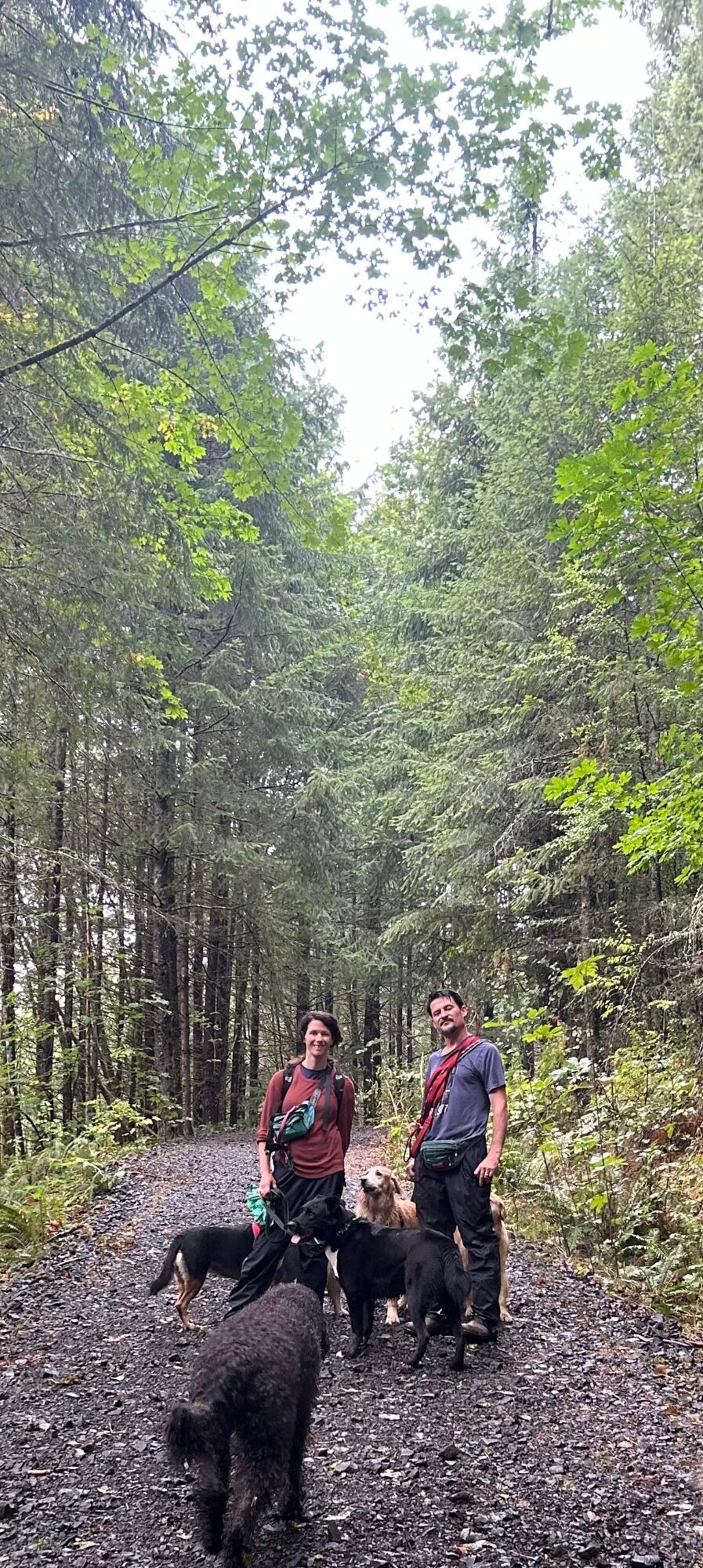Two people with dogs standing on a forest trail surrounded by tall trees and green foliage.