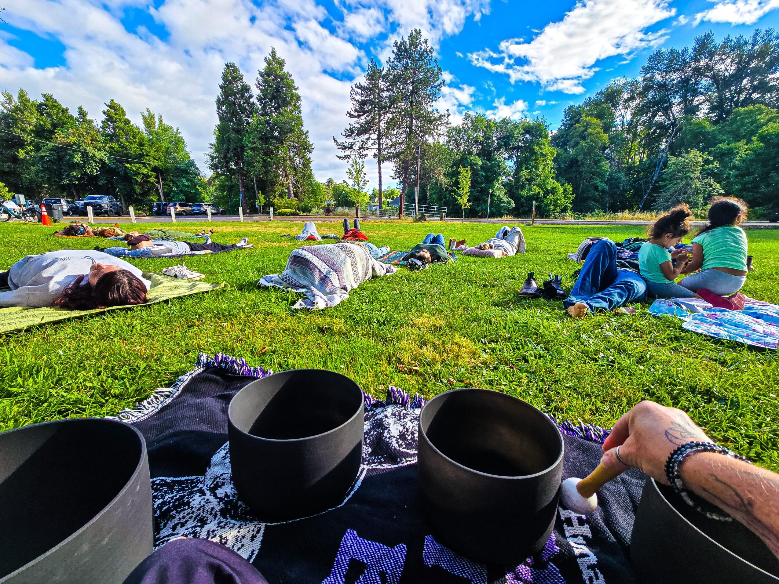 People lying on blankets and sitting on grass in a park with trees and blue sky, some with children, sunny day.
