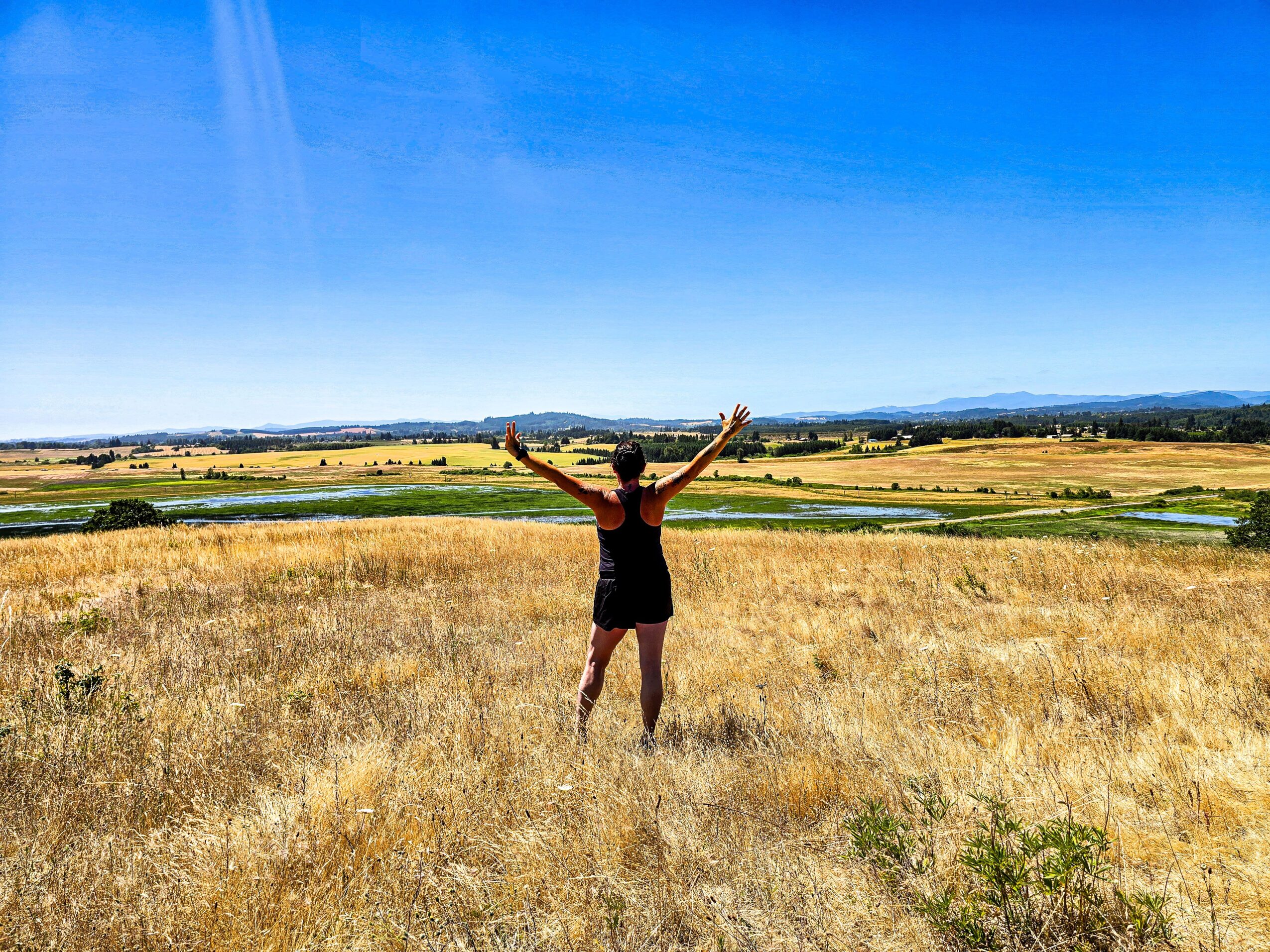 Person standing in a field with arms raised, overlooking a landscape with fields and a blue sky.