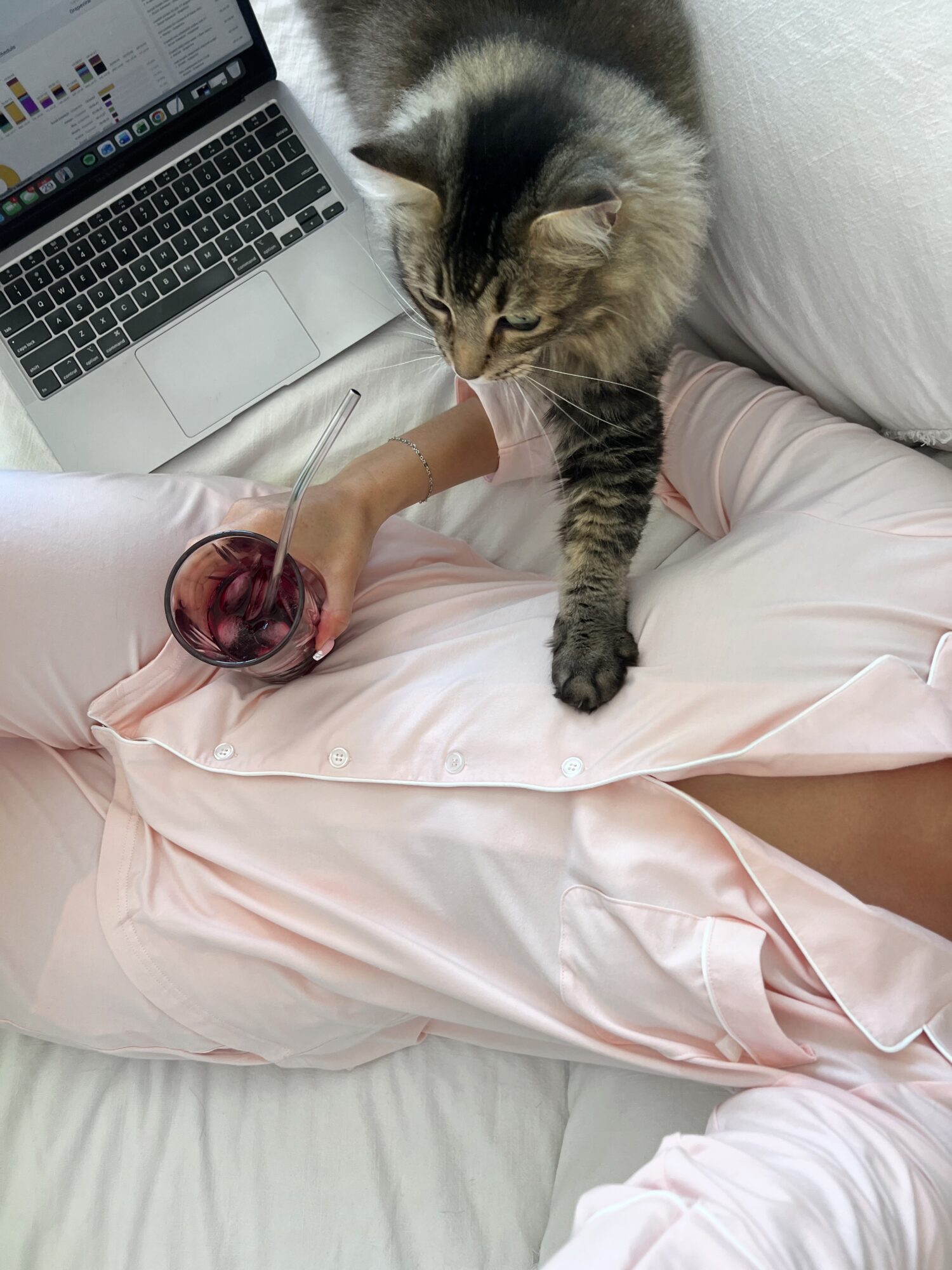 A person in pink pajamas holds a glass of red wine while a cat reaches out with its paw, near a laptop.