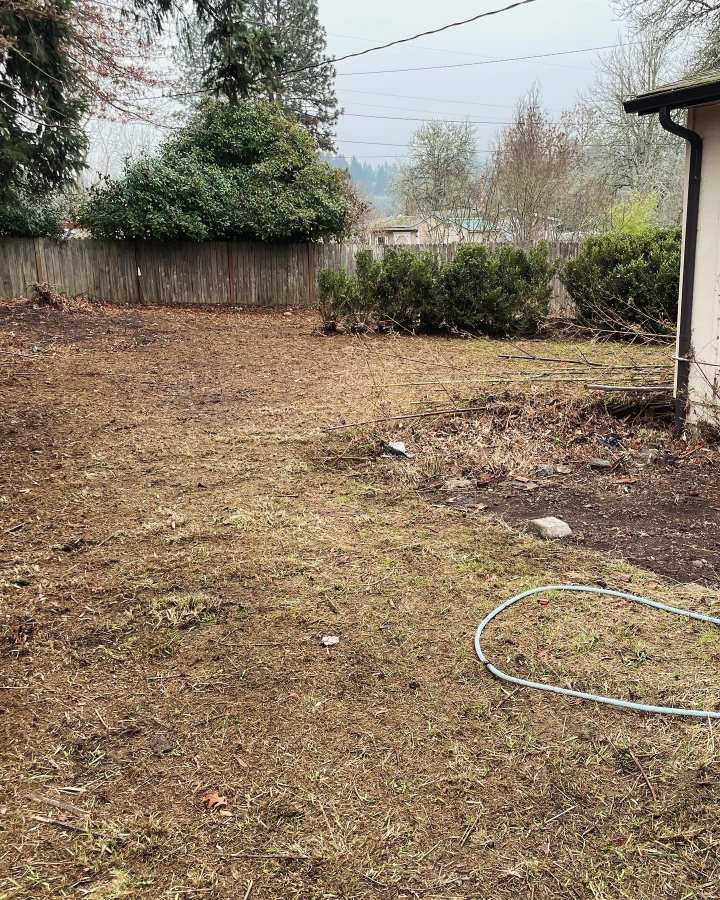 Backyard with bare ground, bushes, trees, and a house corner visible on the right, under an overcast sky.