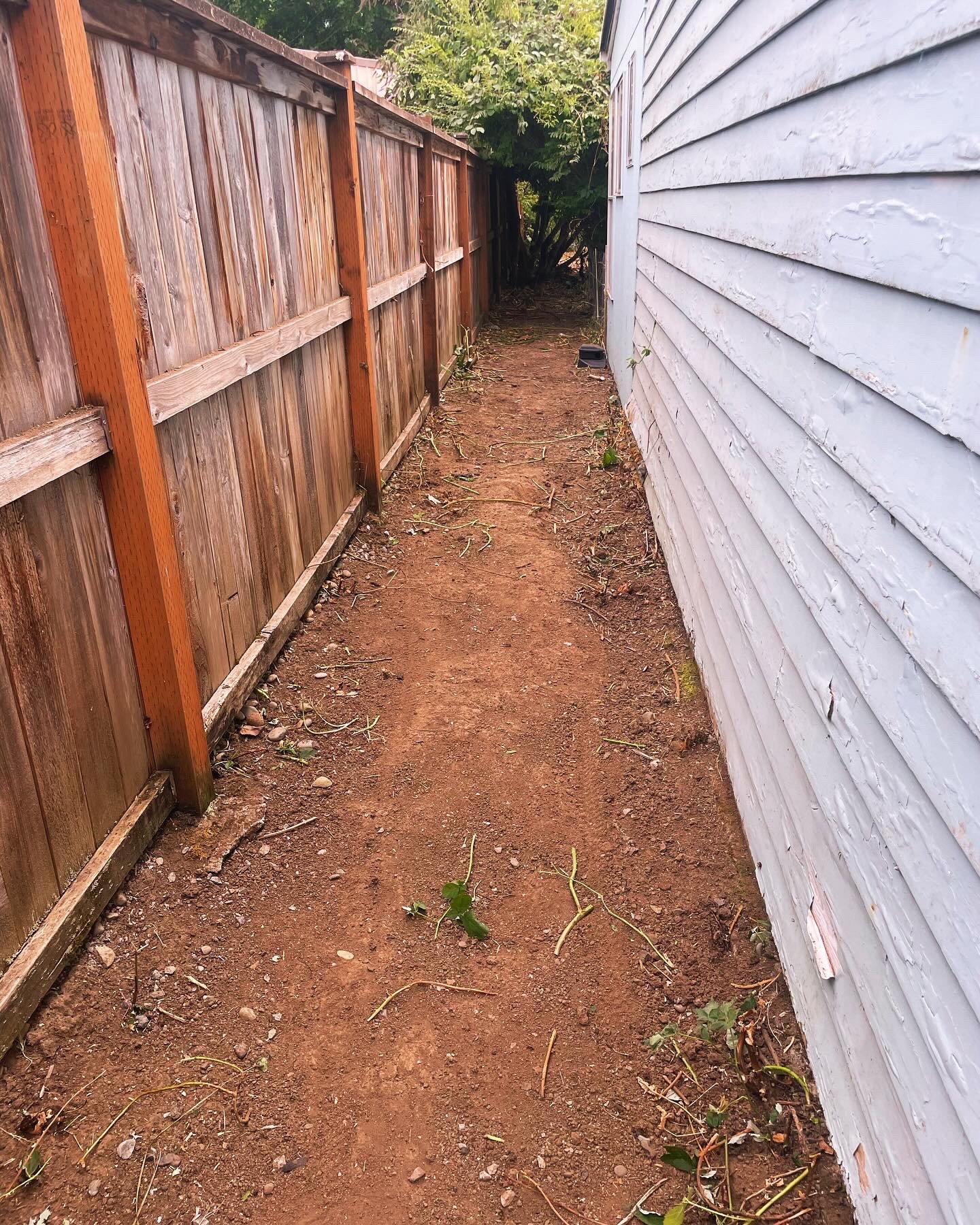 Narrow dirt pathway between a wooden fence on the left and a white house wall on the right, leading to a green area in the distance.