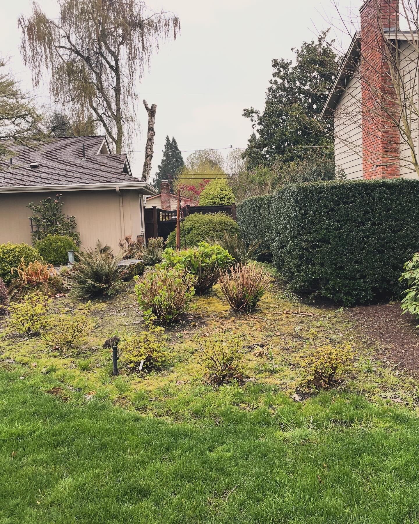 A garden with bushes and trees, neighboring houses, and a cloudy sky in the background.
