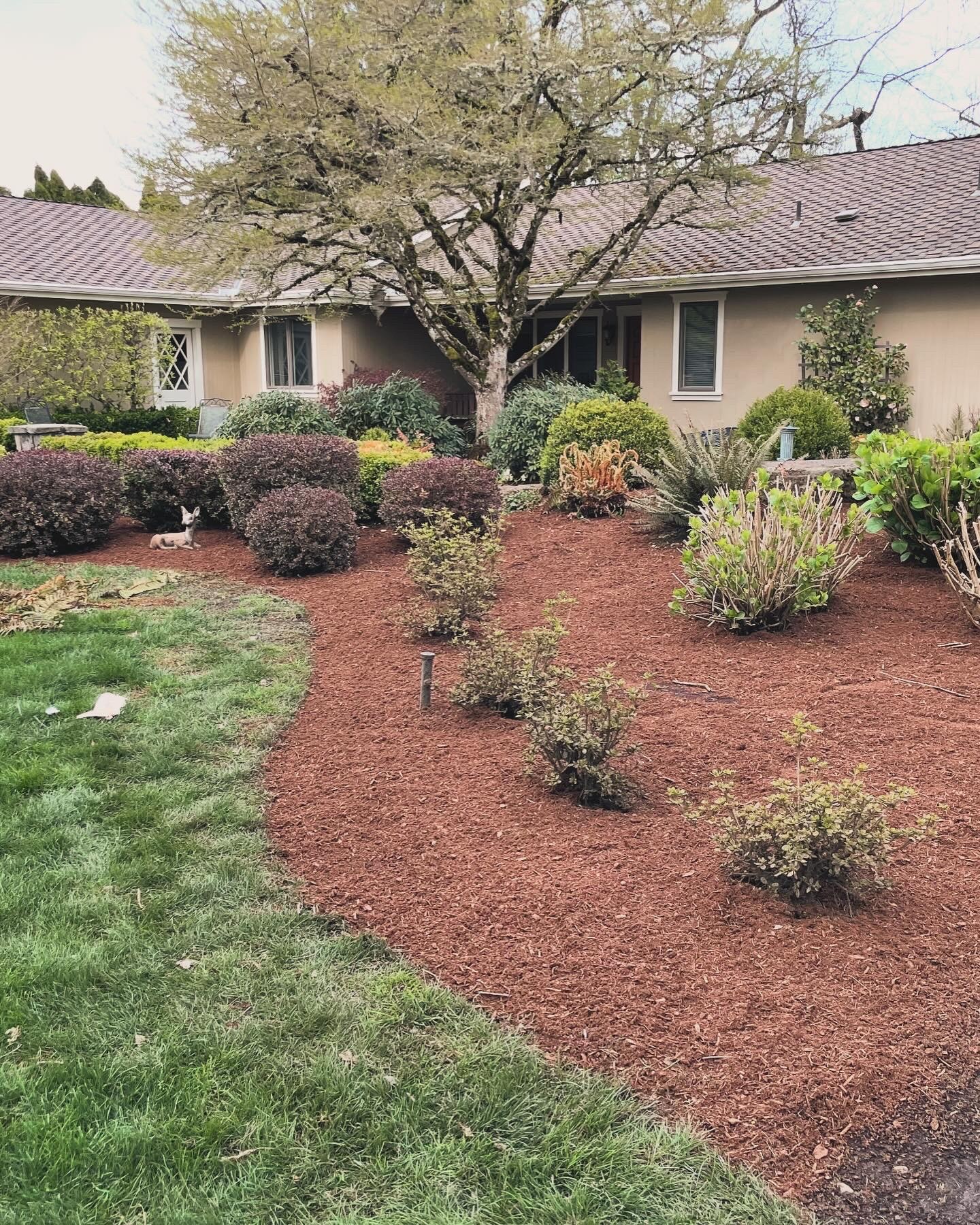 Front yard with a large tree, bushes, and a house in the background, with a garden bed and grass area.