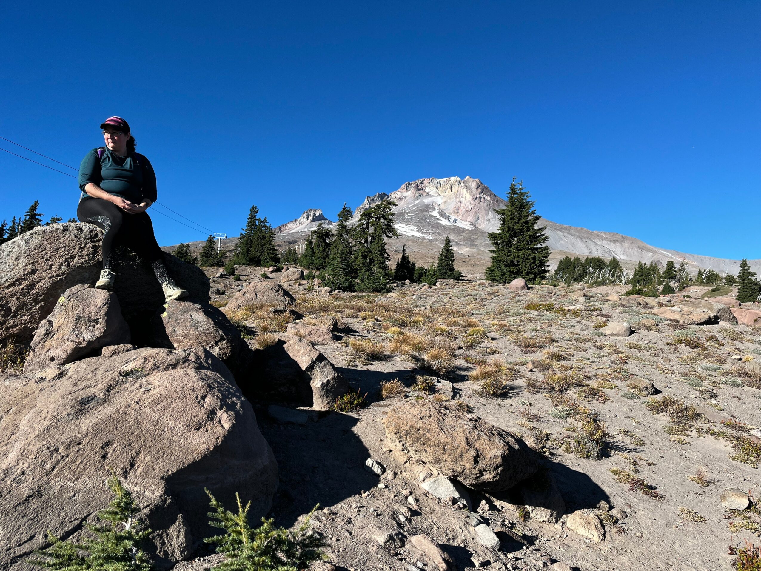Person sitting on large rocks in a mountainous landscape with trees and snow-capped peak in background, clear blue sky.