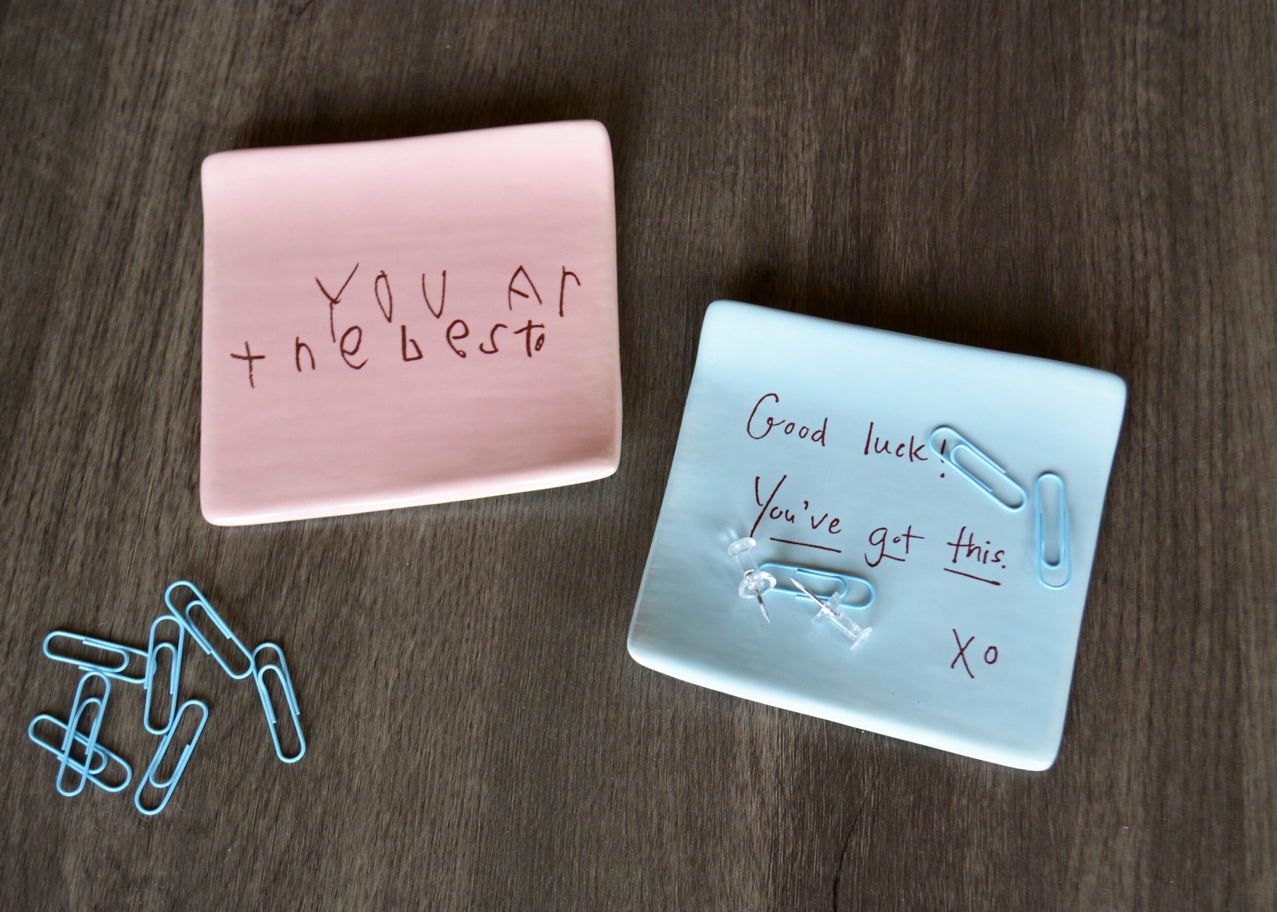 Two small square plates with handwritten messages, one pink with 'You are the best,' and one blue with 'Good luck, you've got this, Xo.'