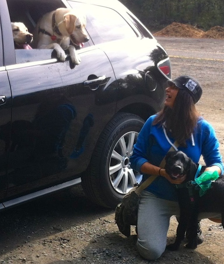 Person kneeling with a dog, two dogs in car window, outdoor setting, gravel ground, trees in background.