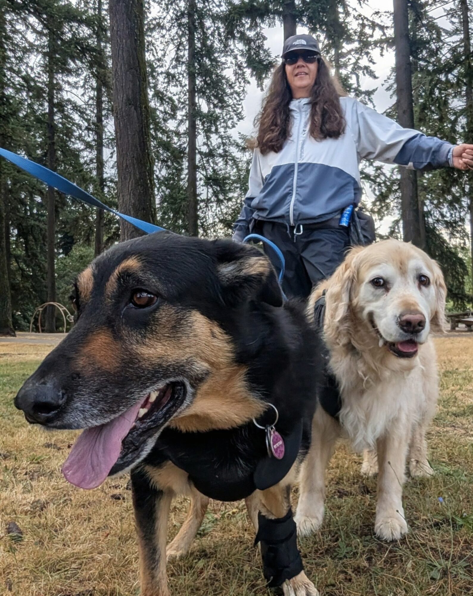 Person standing outdoors with two dogs in a forested area, trees in the background, person wearing a cap and sunglasses.